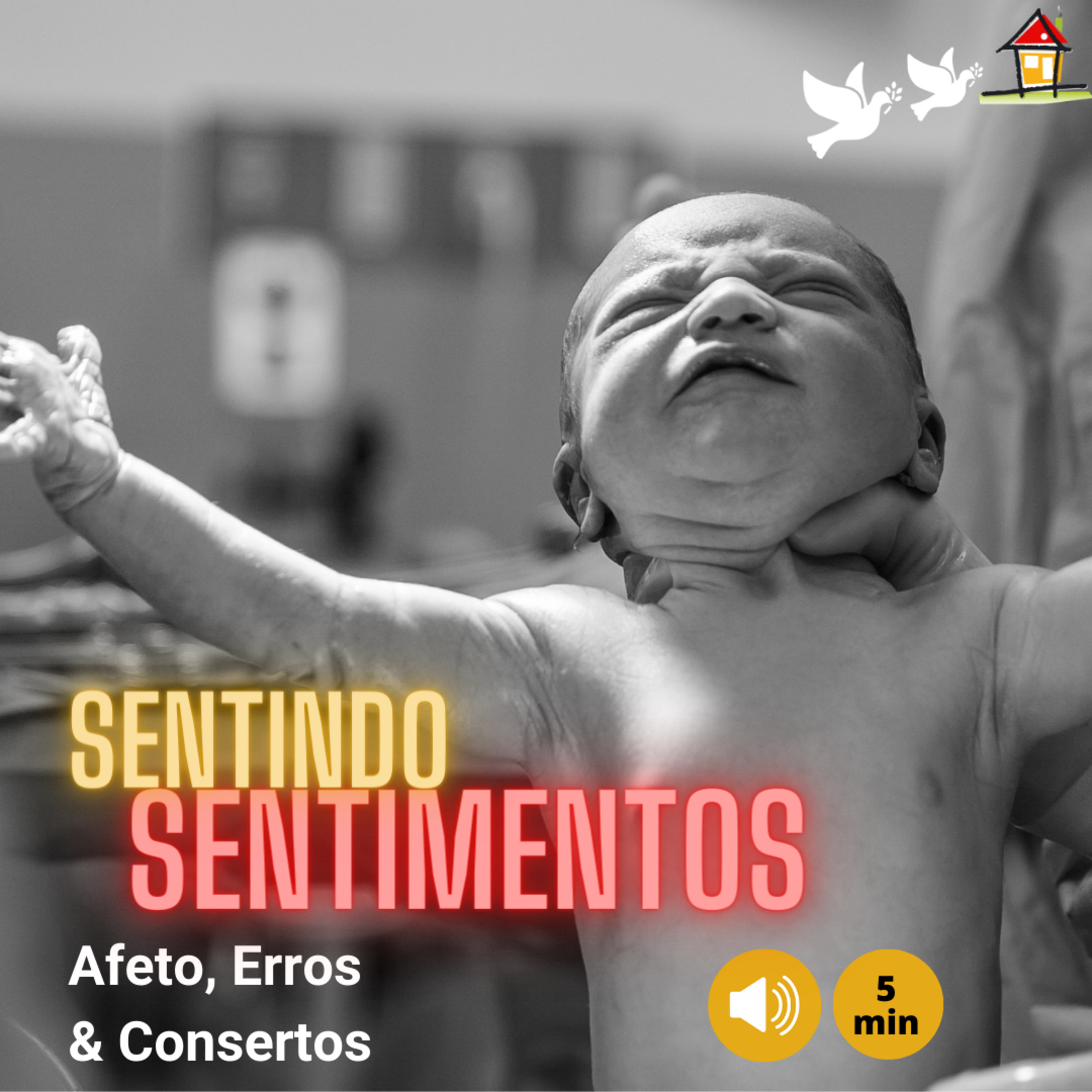 Afeto, Erros e Consertos [NSimas] Sentindo os sentimentos [Top8Cap4LVAL Pg120] episode artwork