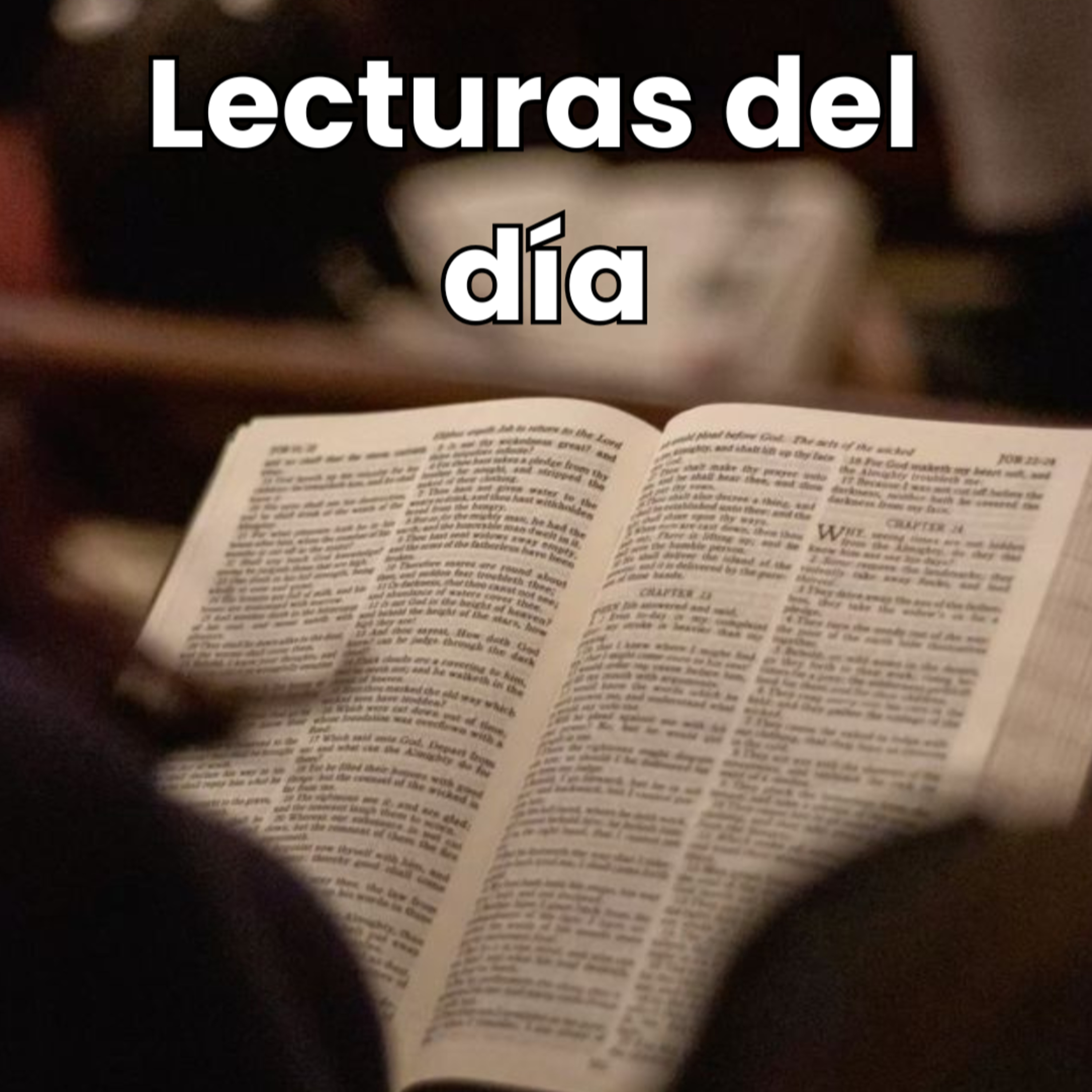 Segunda lectura 28 Junio