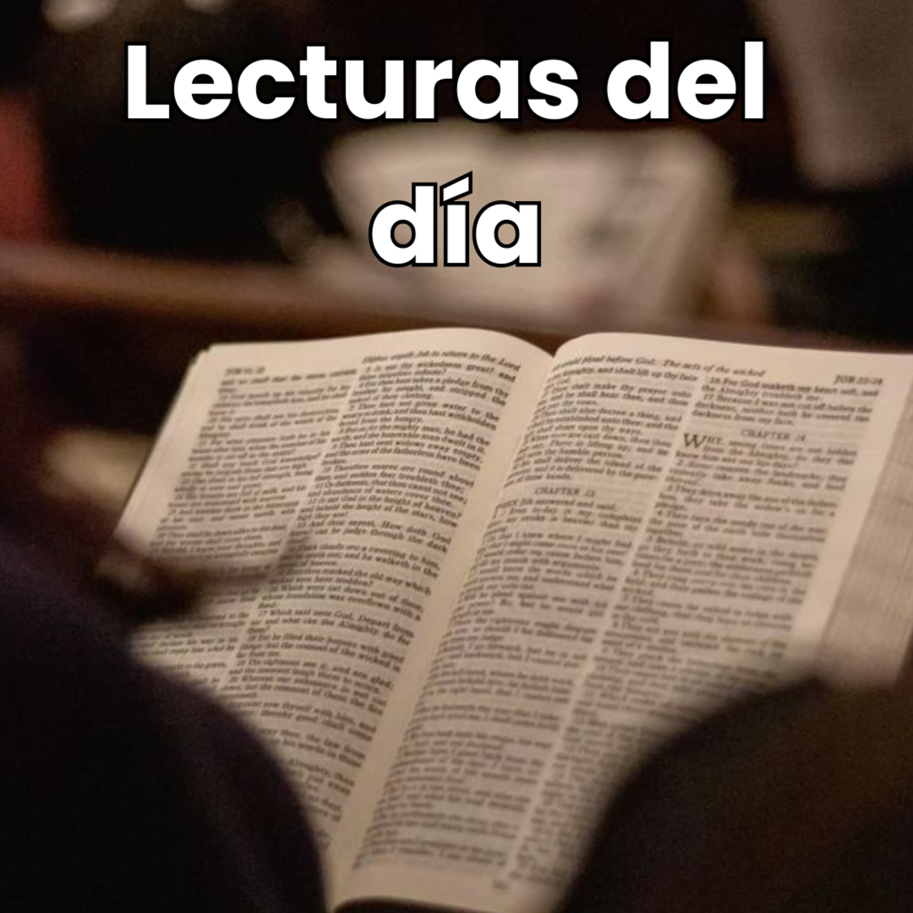 Primera lectura 28 junio