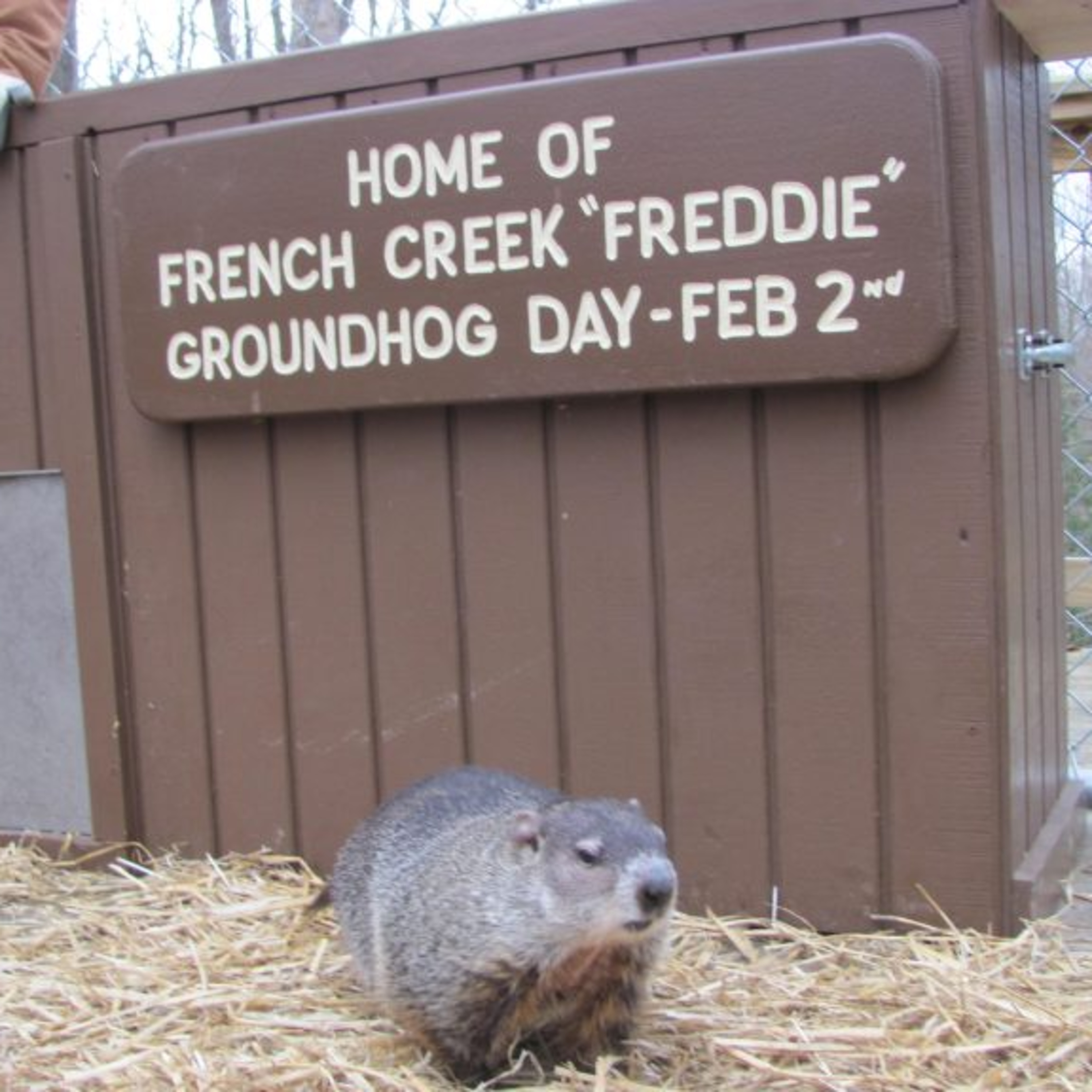 French Creek Freddie episode artwork