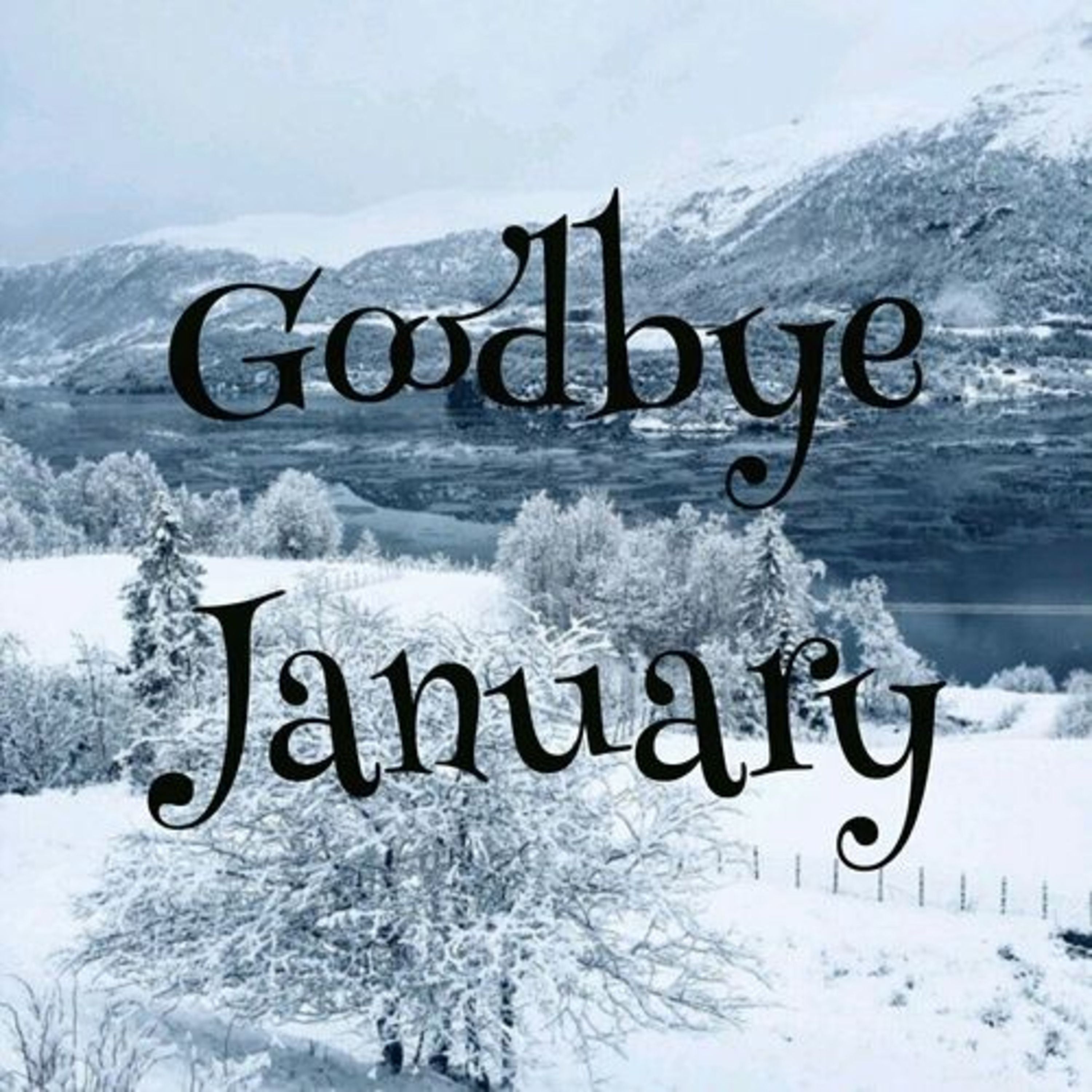 Goodbye January - 2024 episode artwork