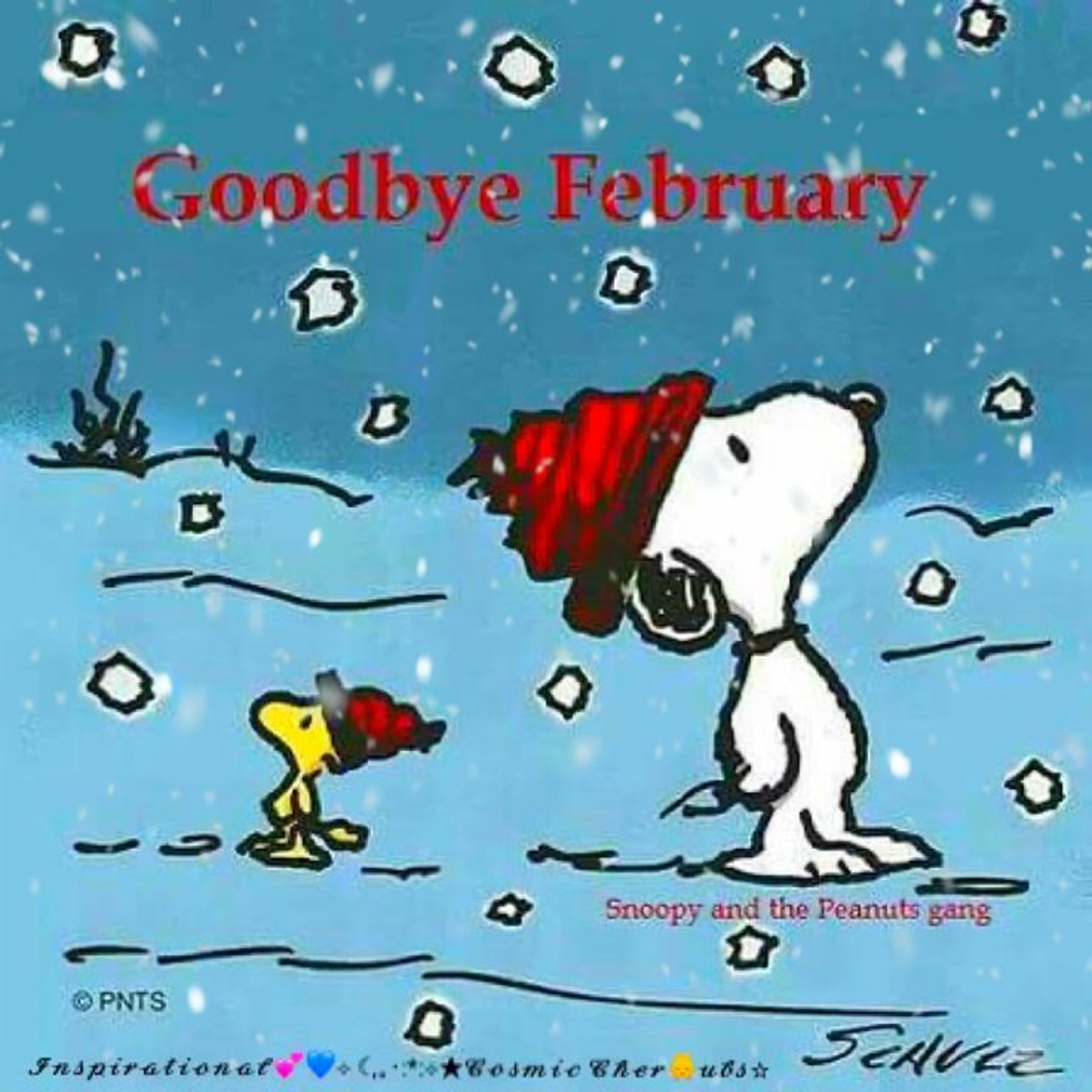 Goodbye February 2024 episode artwork