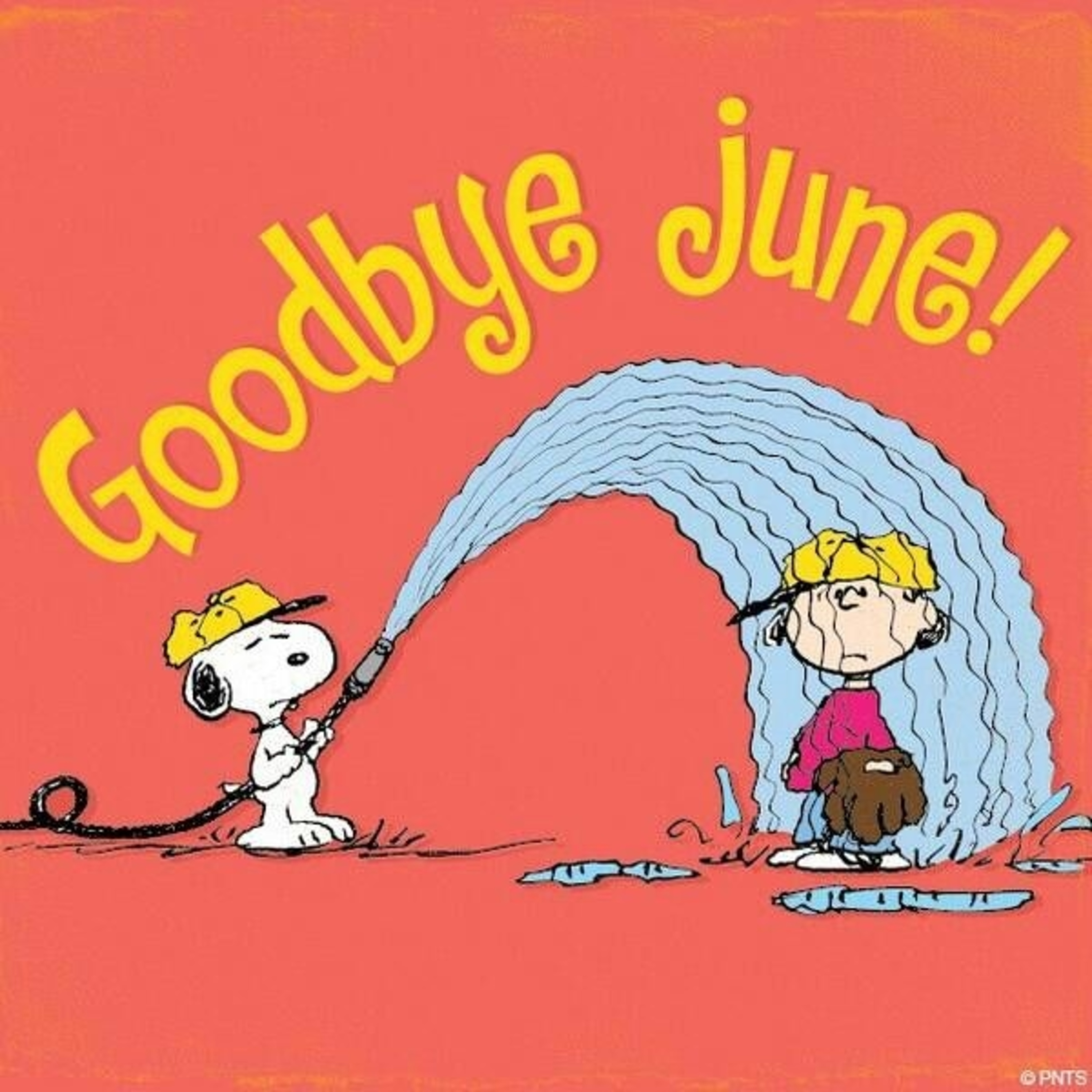 Goodbye - June 2024 episode artwork