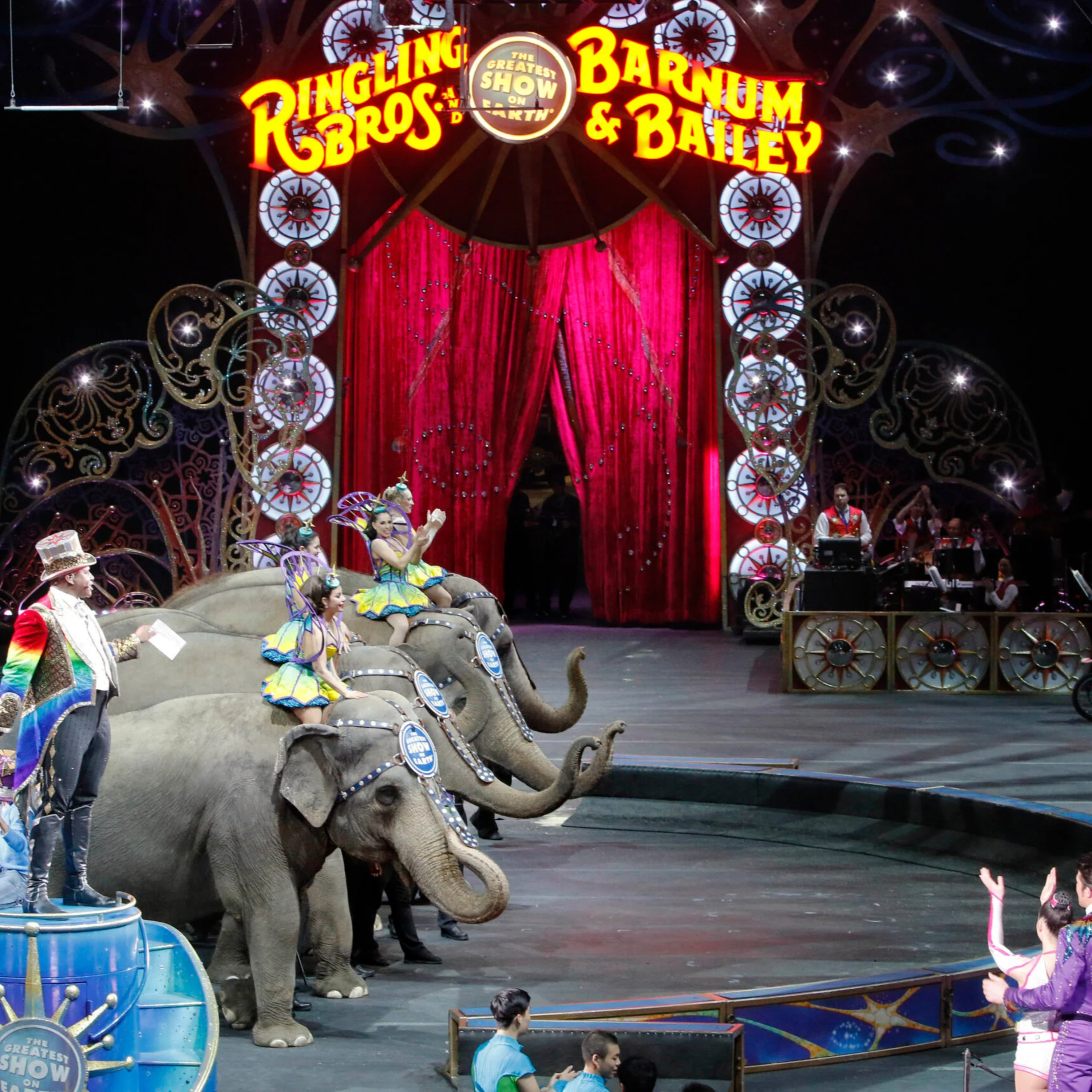 Circus  episode artwork