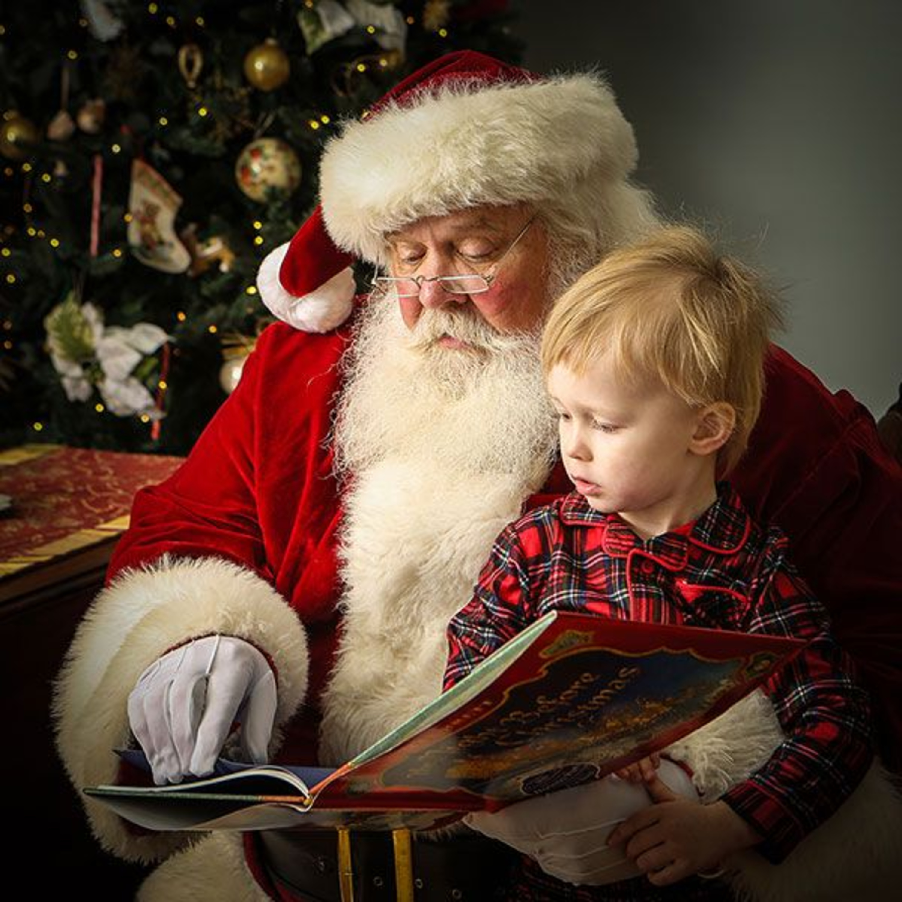 Visit From St. Nicholas episode artwork
