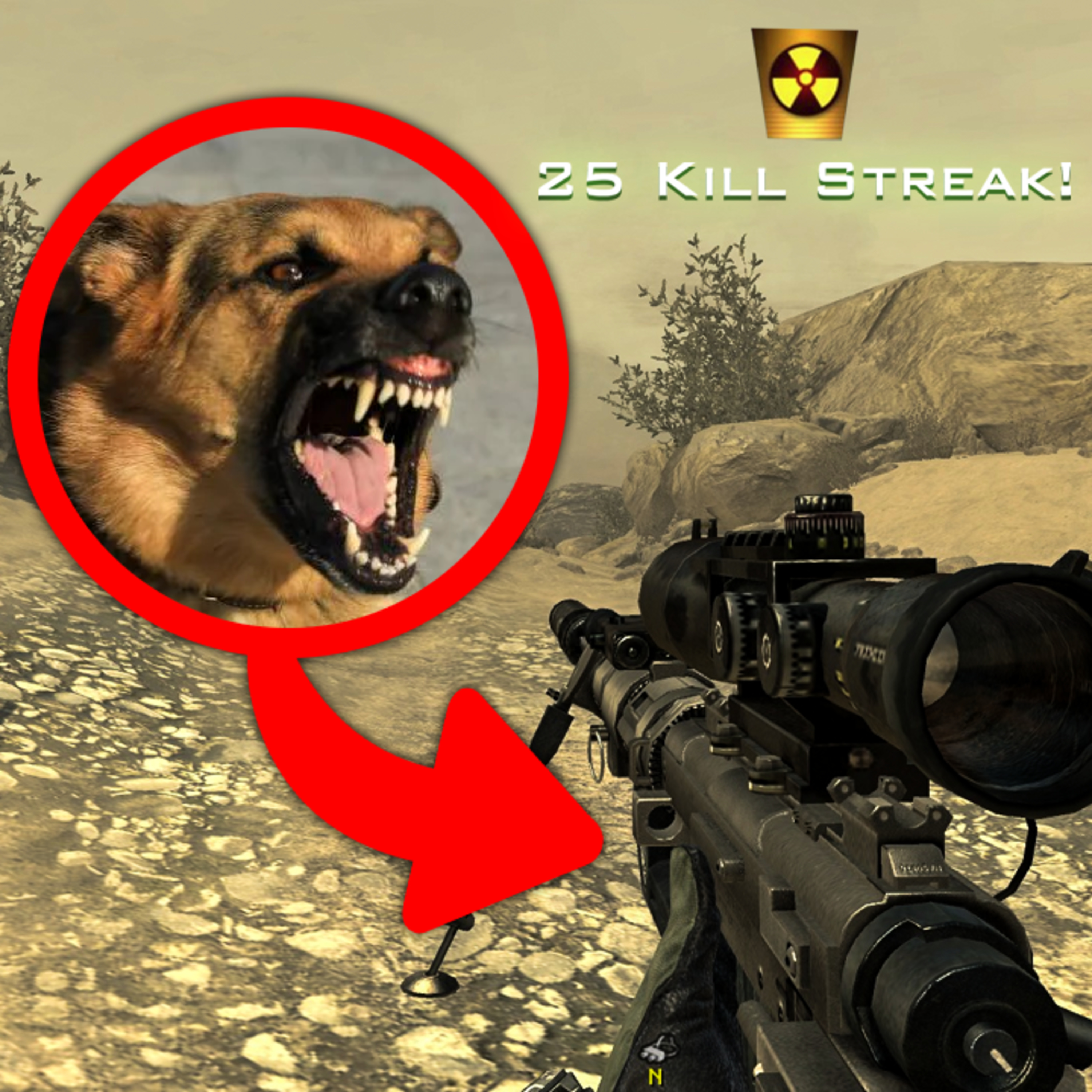 DOG PLAYS CALL OF DUTY episode artwork