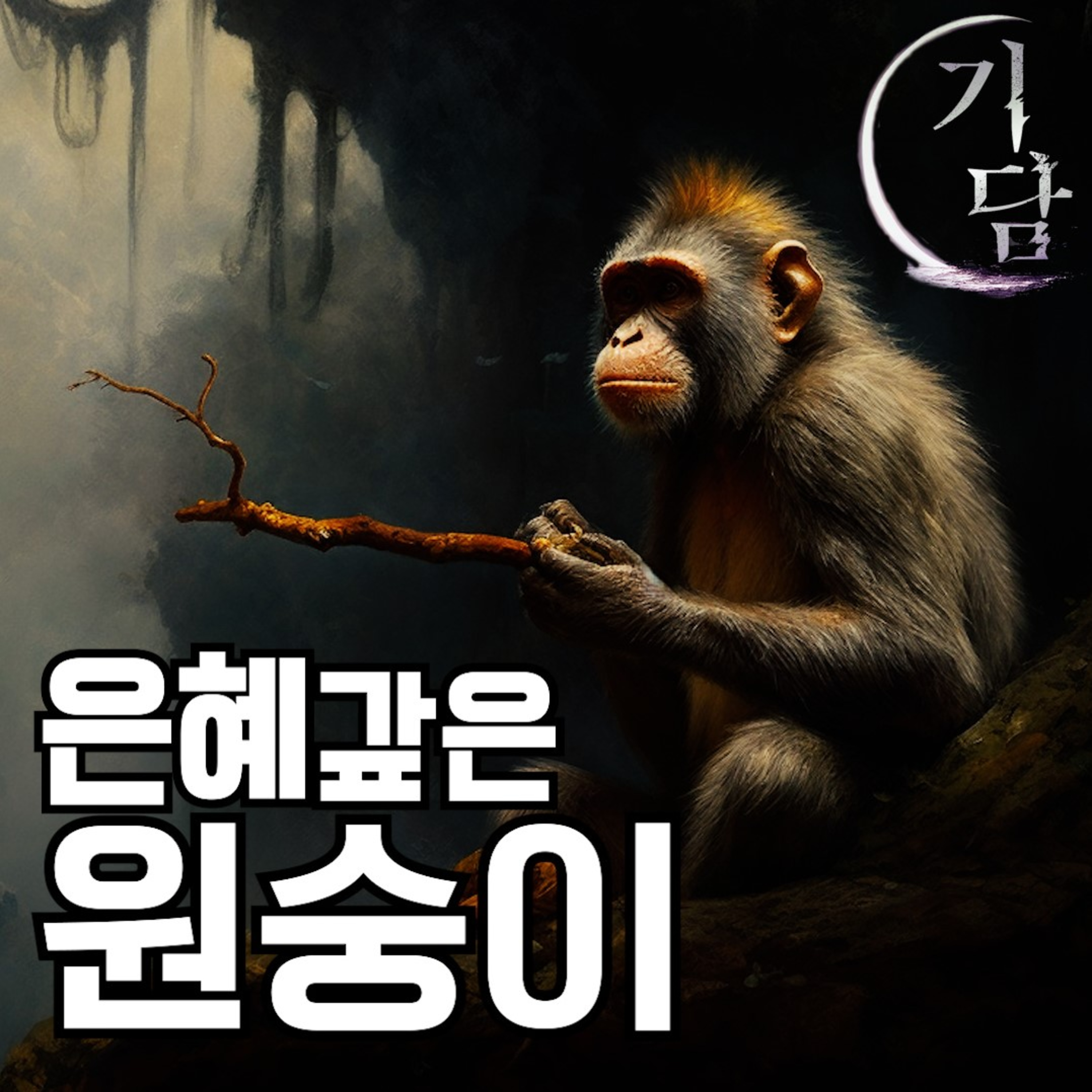 은혜갚은 원숭이 '다친 원숭이를 치료해 준 적이 있었어' episode artwork