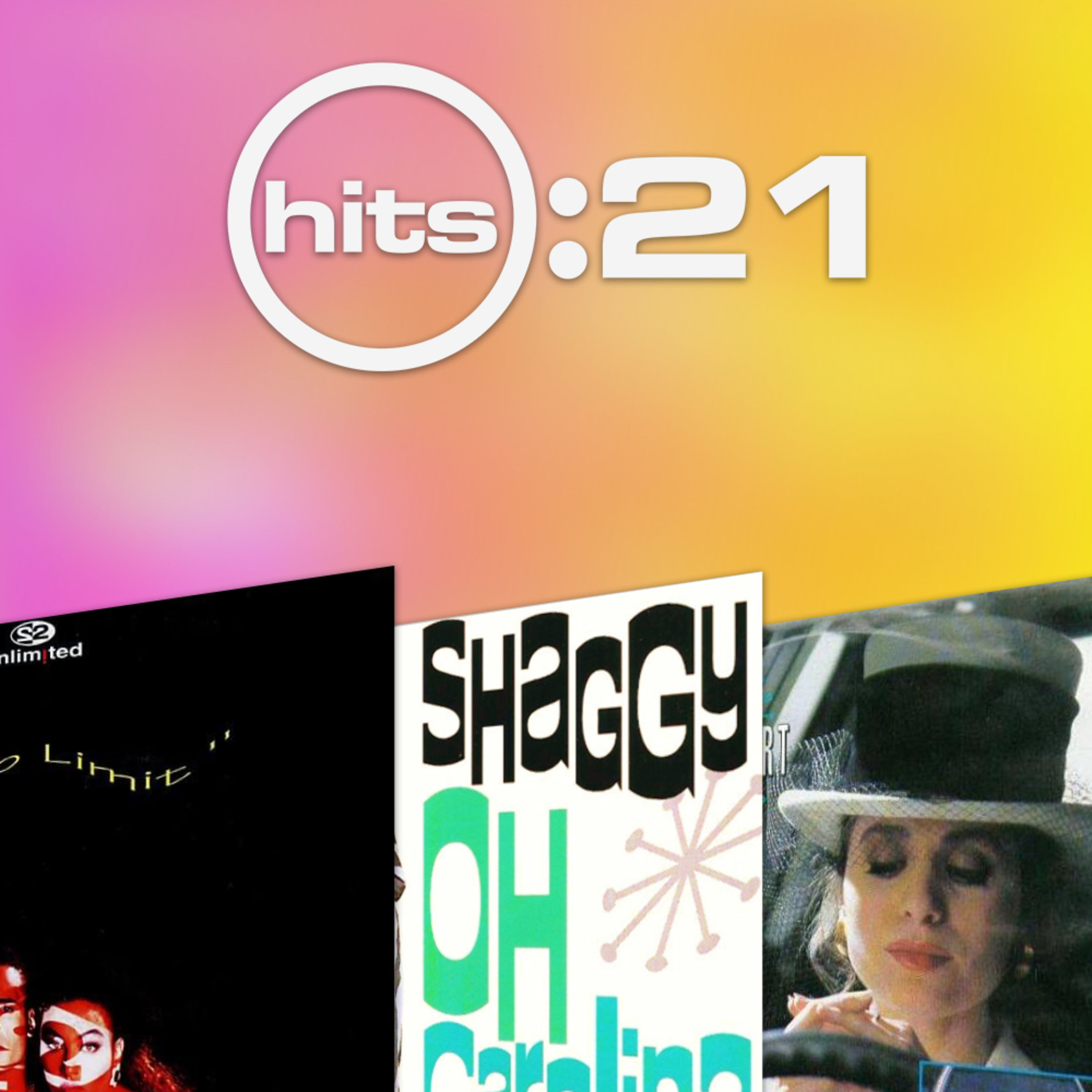 1993 (1): 2 Unlimited, Shaggy, The Bluebells