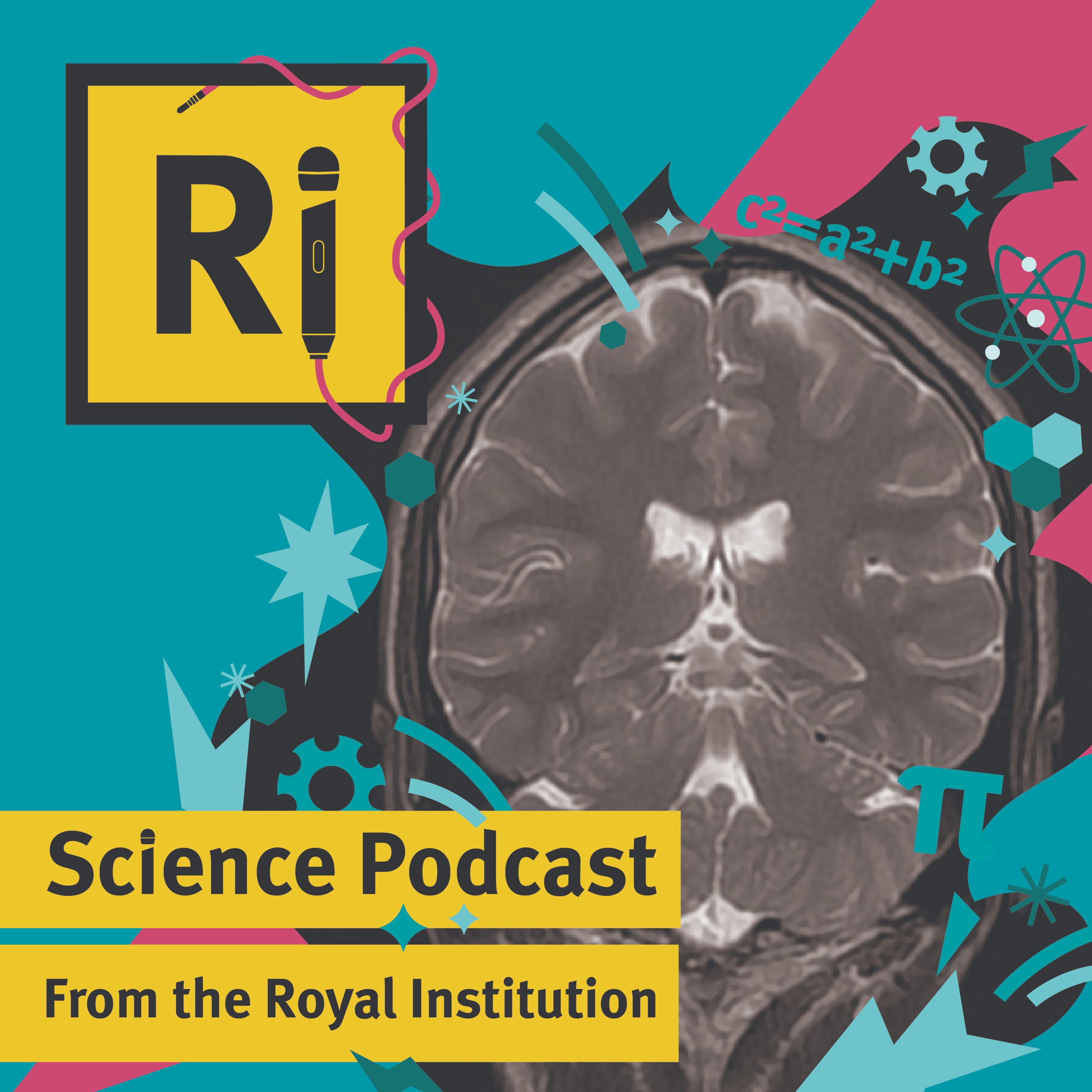 The brain on exercise - with Dr Flaminia Ronca
