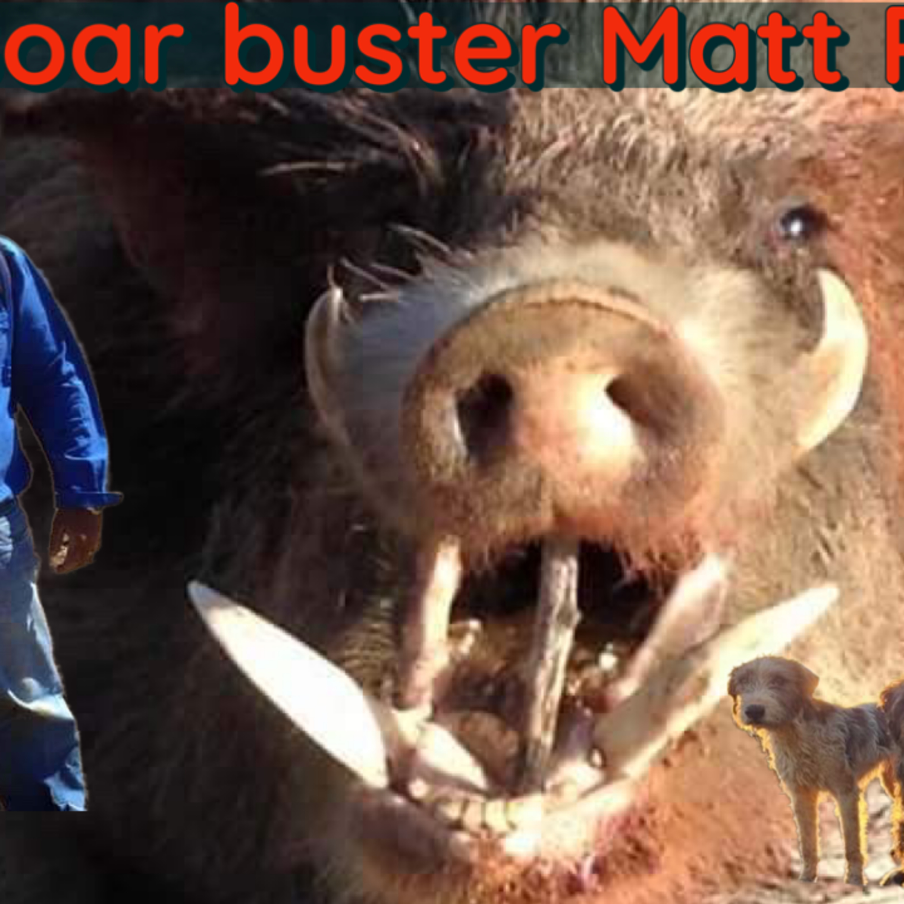 Boar Buster Matt Pennisi