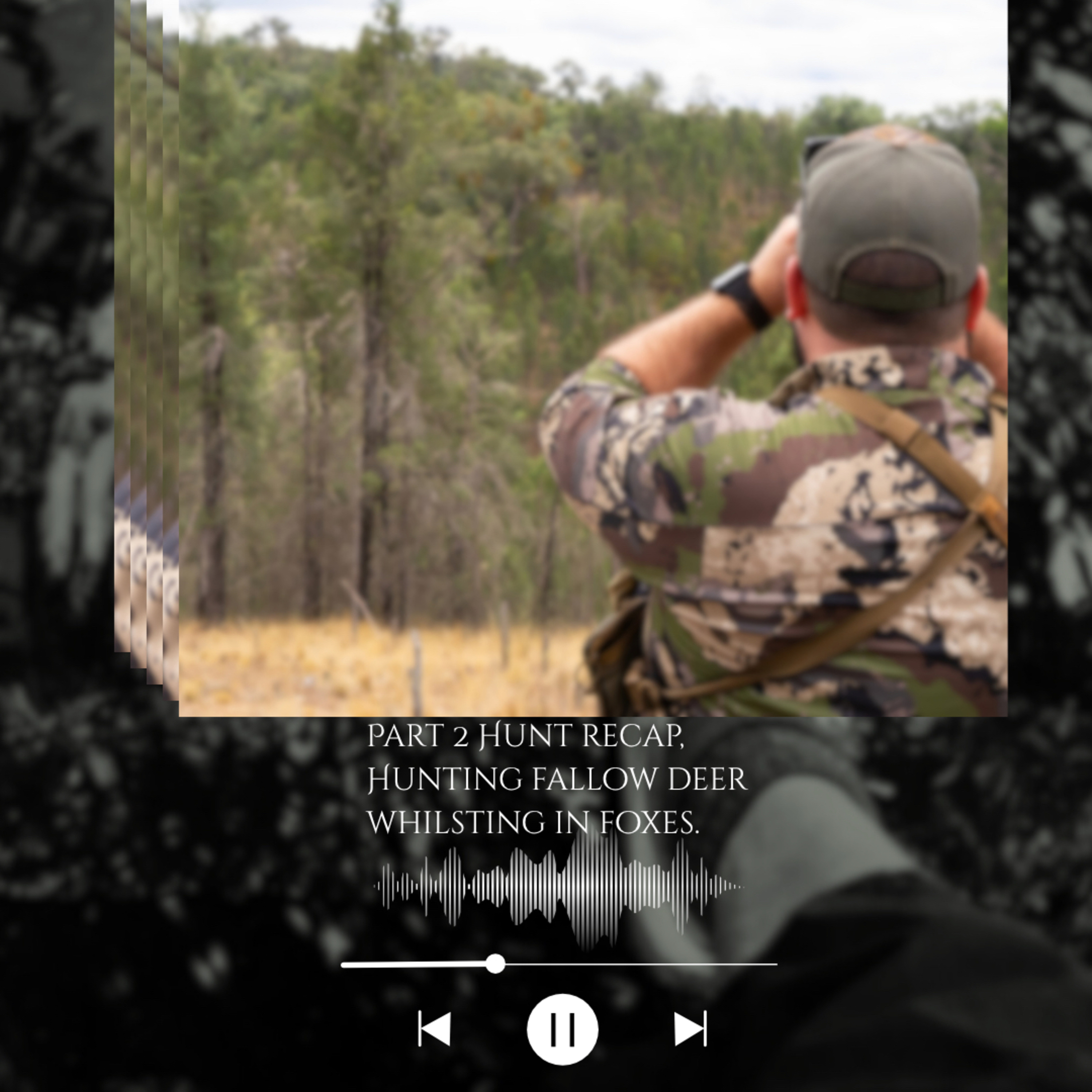 Part 2 Hunt recap, Hunting fallow deer whilsting in foxes. episode artwork