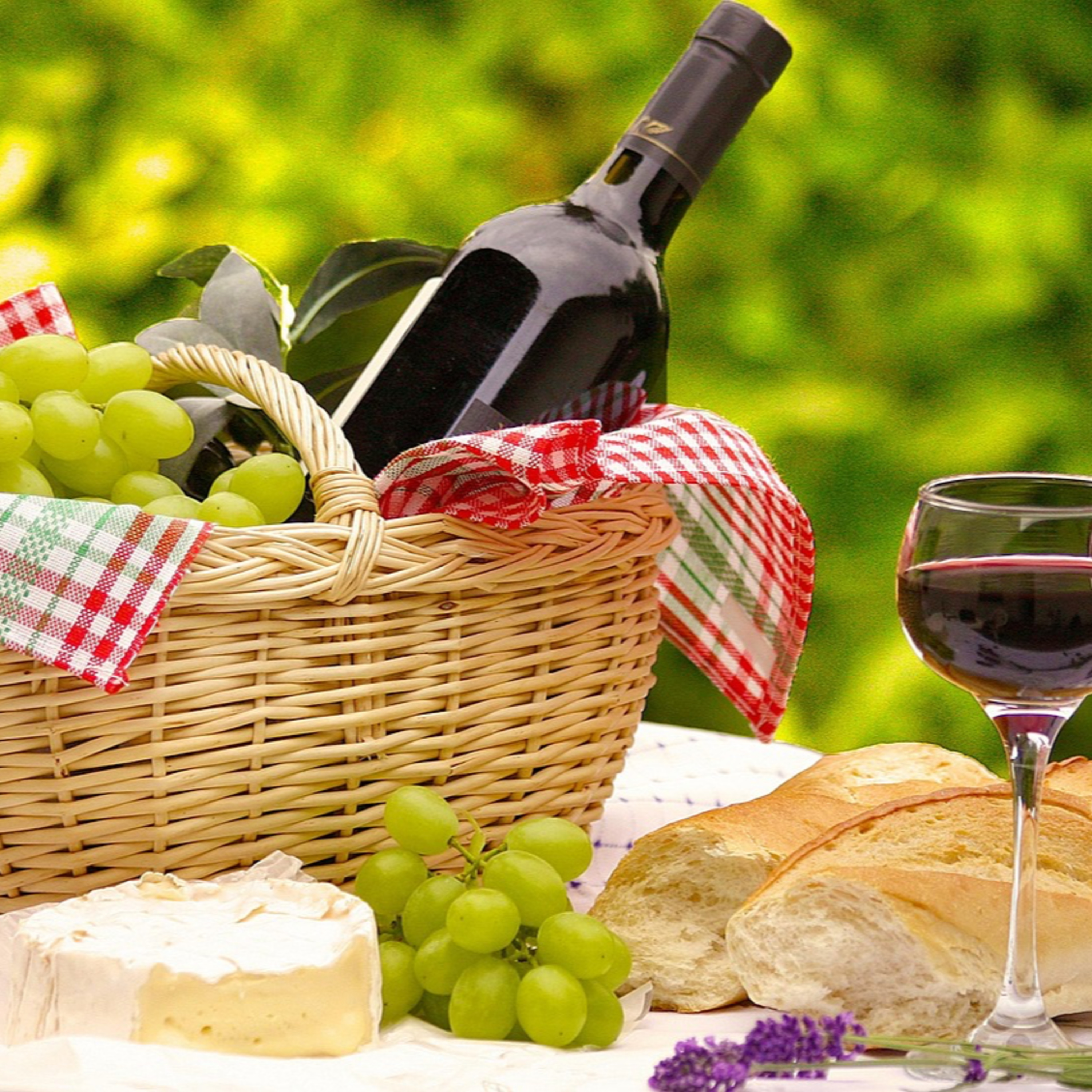 QS_241 Picnic all'italiana episode artwork