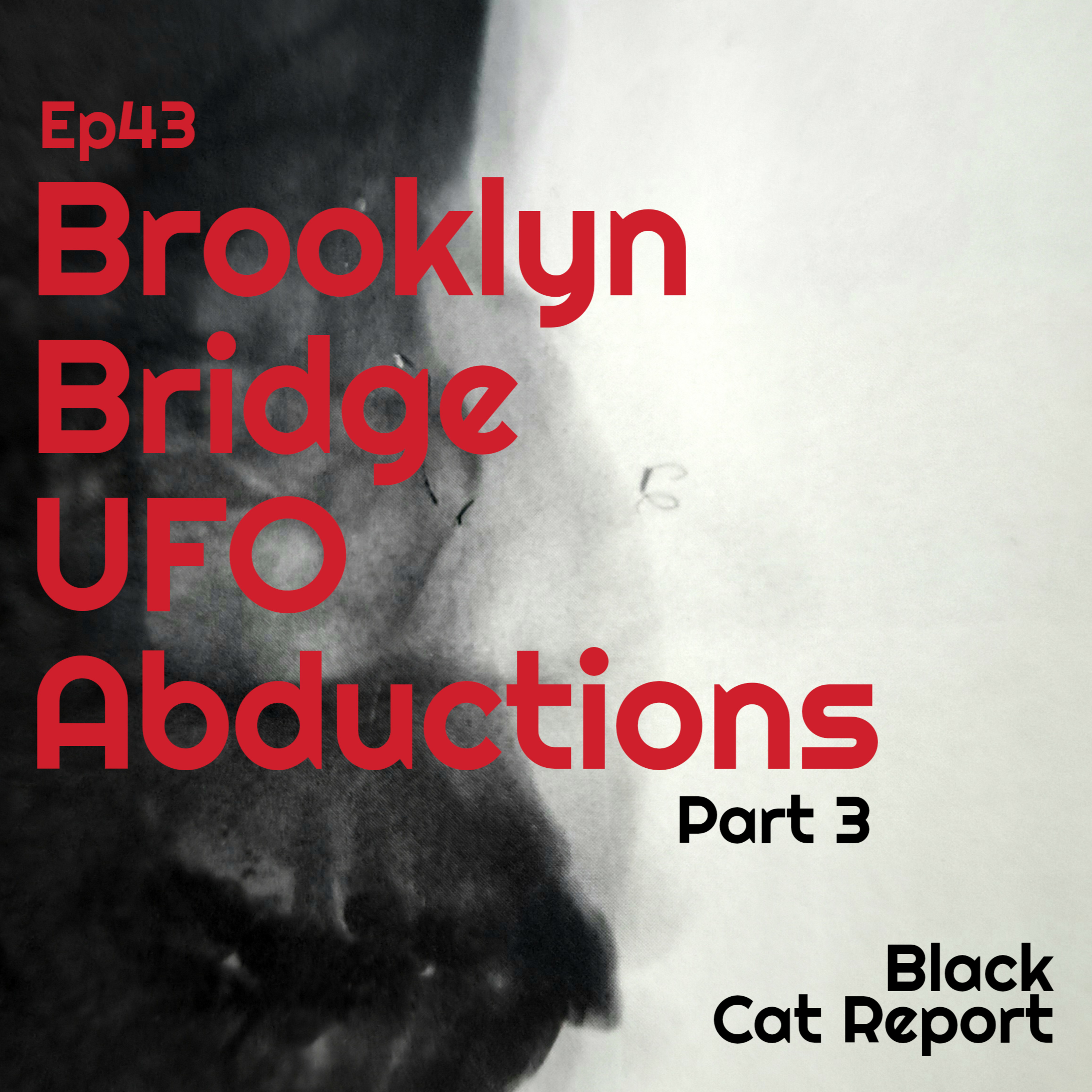 cover of episode 43 | Pt 3 | The Brooklyn Bridge UFO Abductions