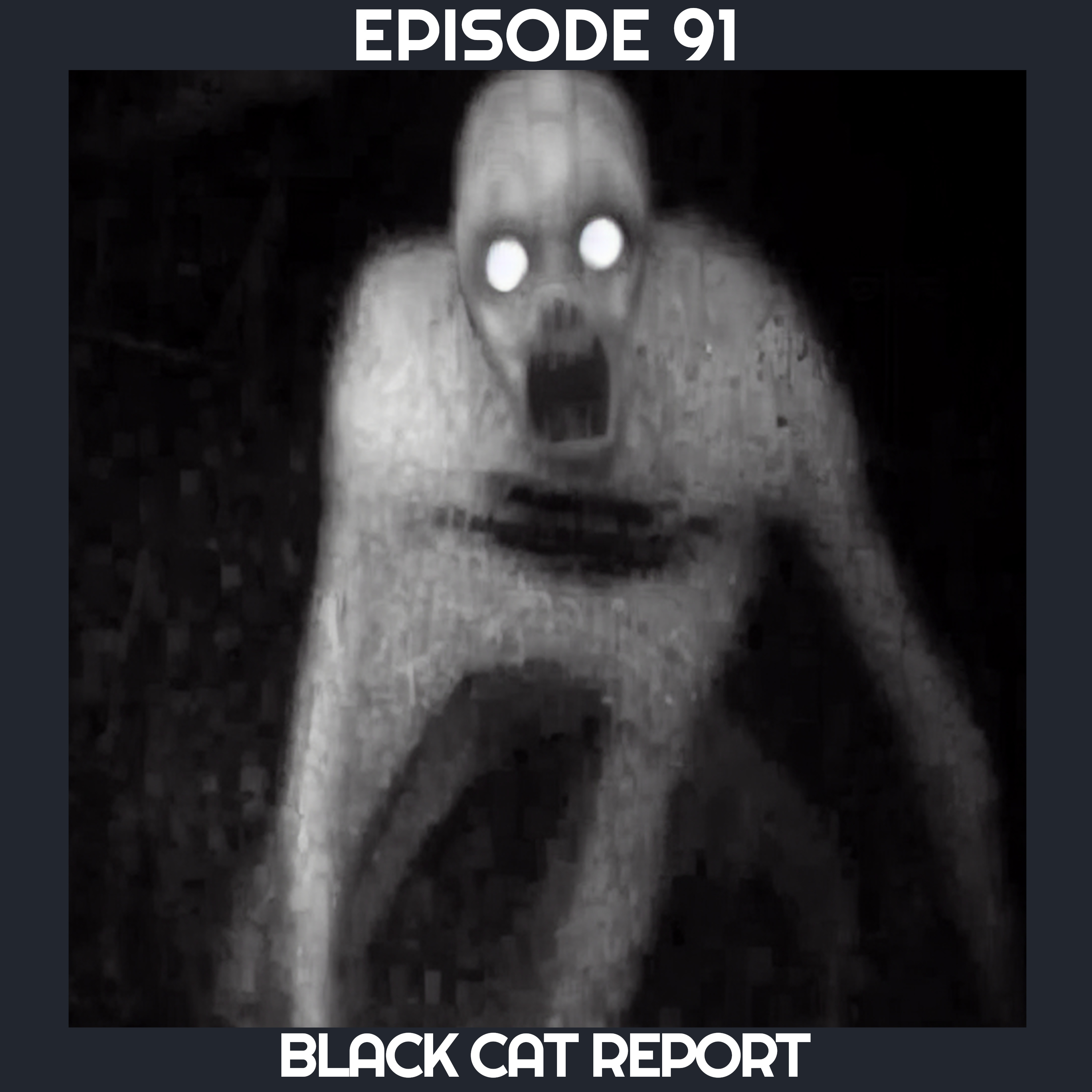 cover of episode 91 | The Grey Man: A Listener's Encounter With What May Be the Pale Crawler