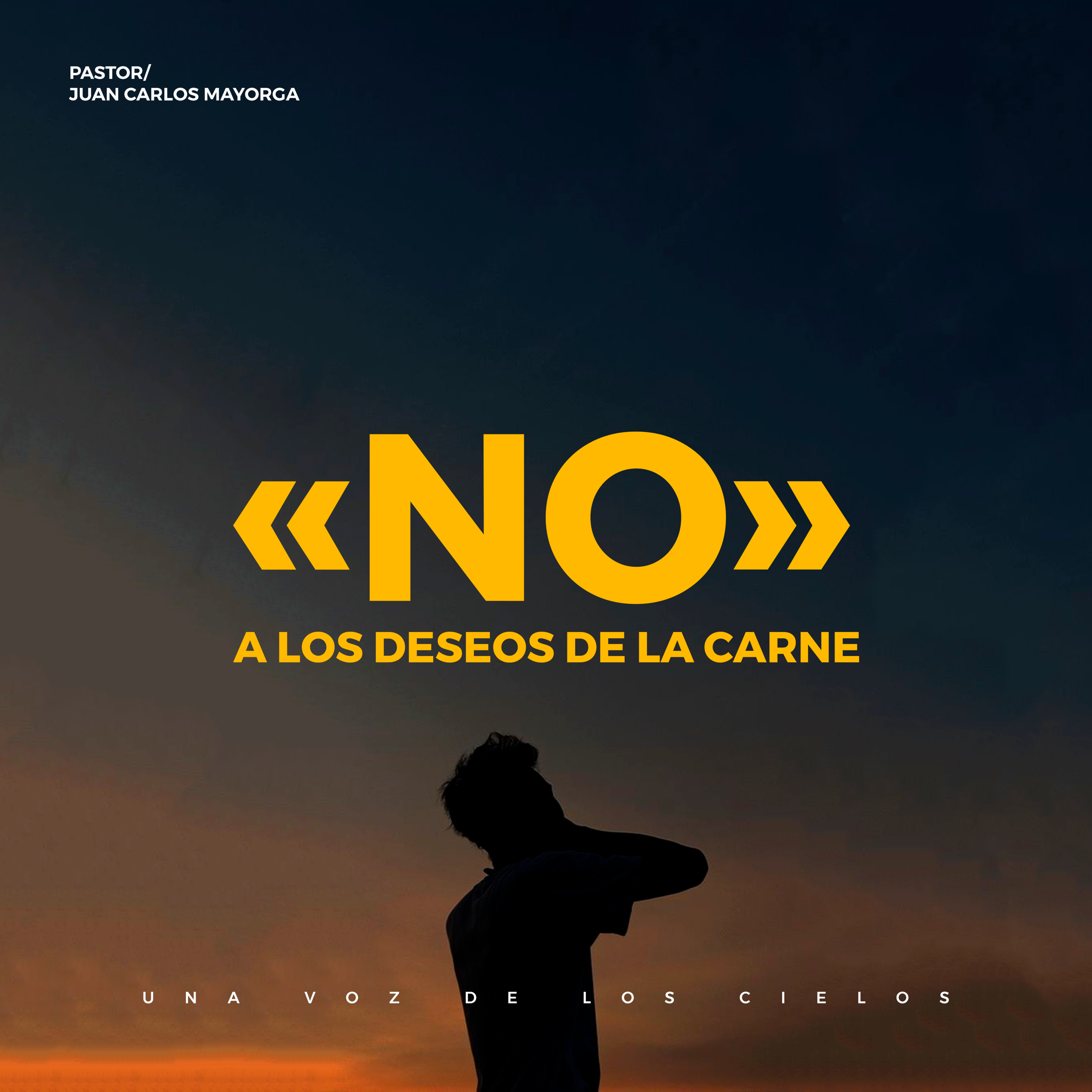 UNA VOZ DE LOS CIELOS