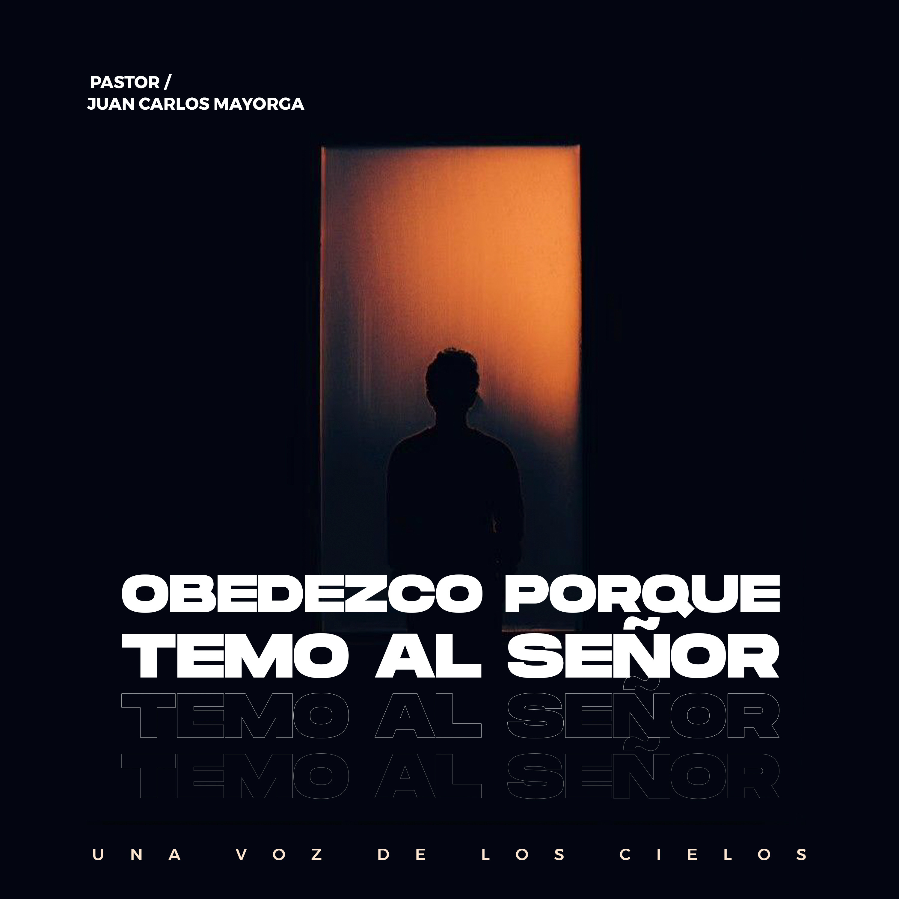 UNA VOZ DE LOS CIELOS