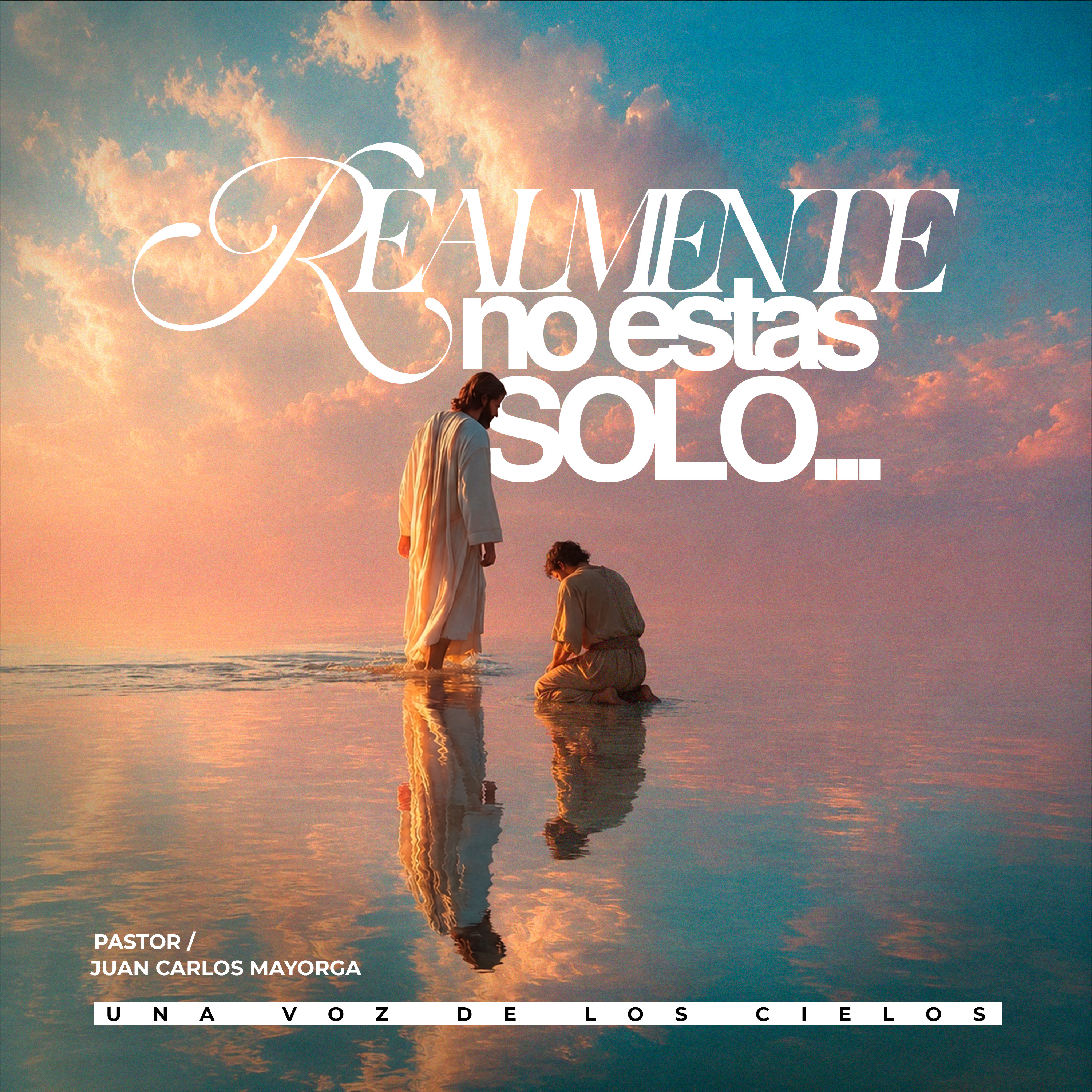 REALMENTE NO ESTAS SOLO... episode artwork