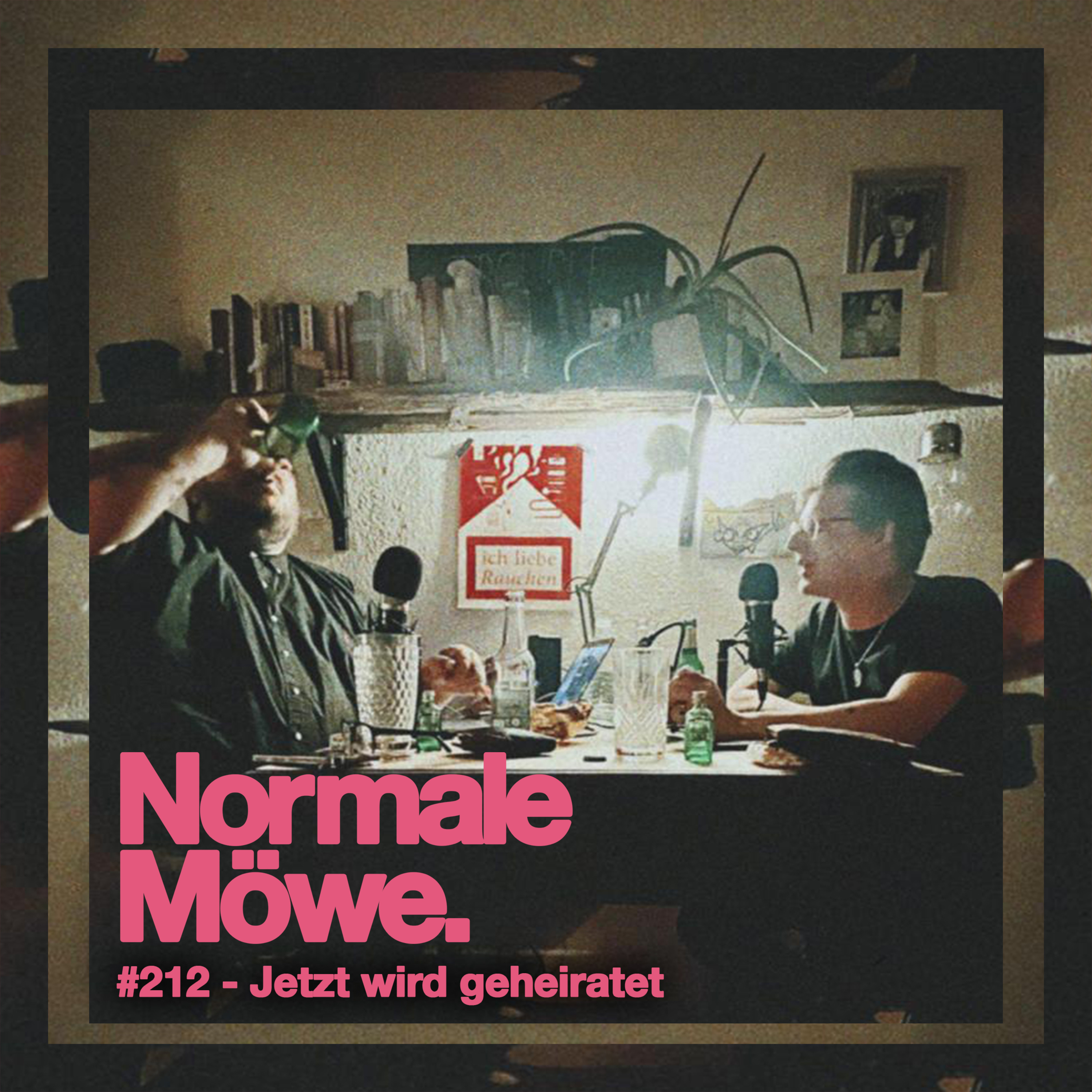 NORMALE MÖWE