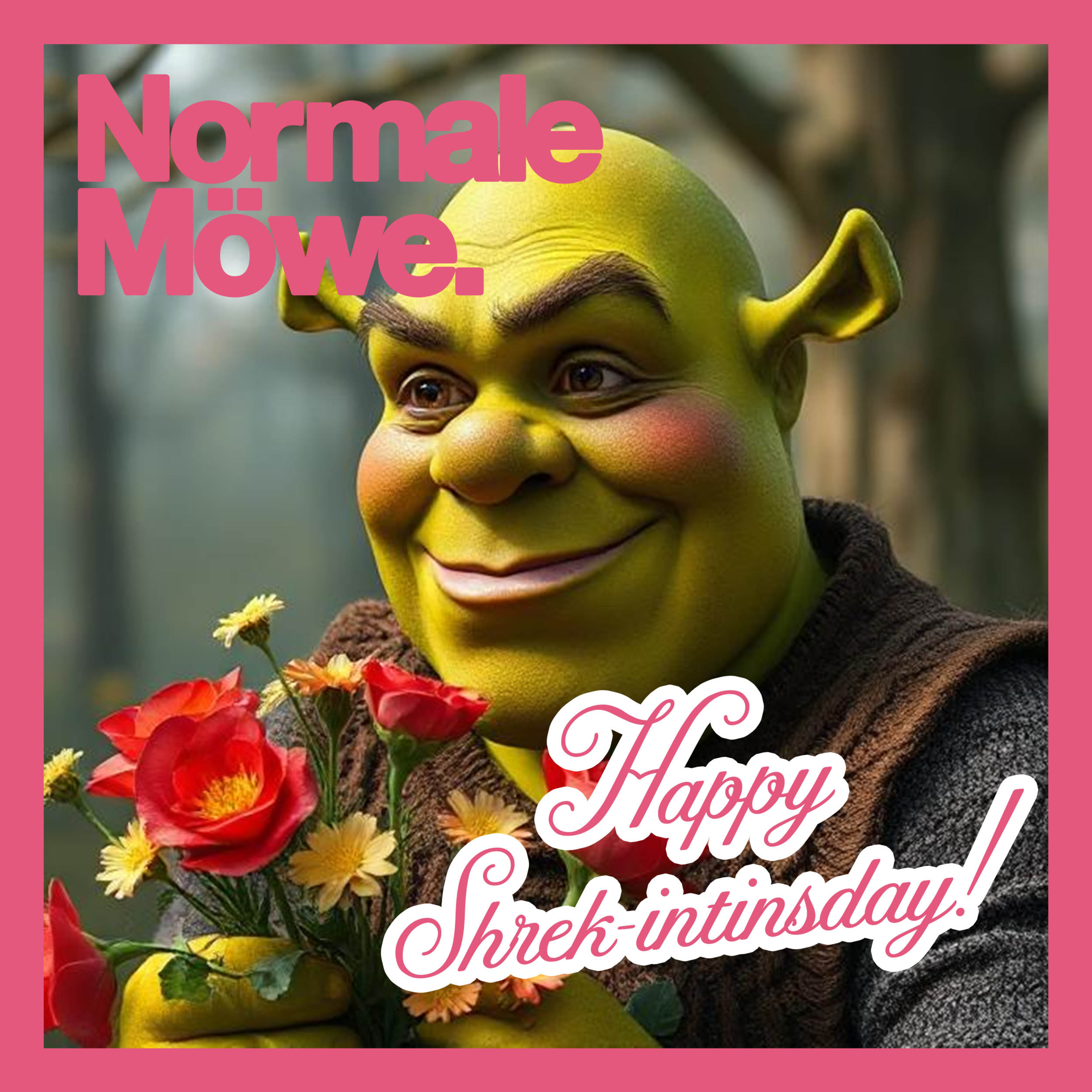 NORMALE MÖWE