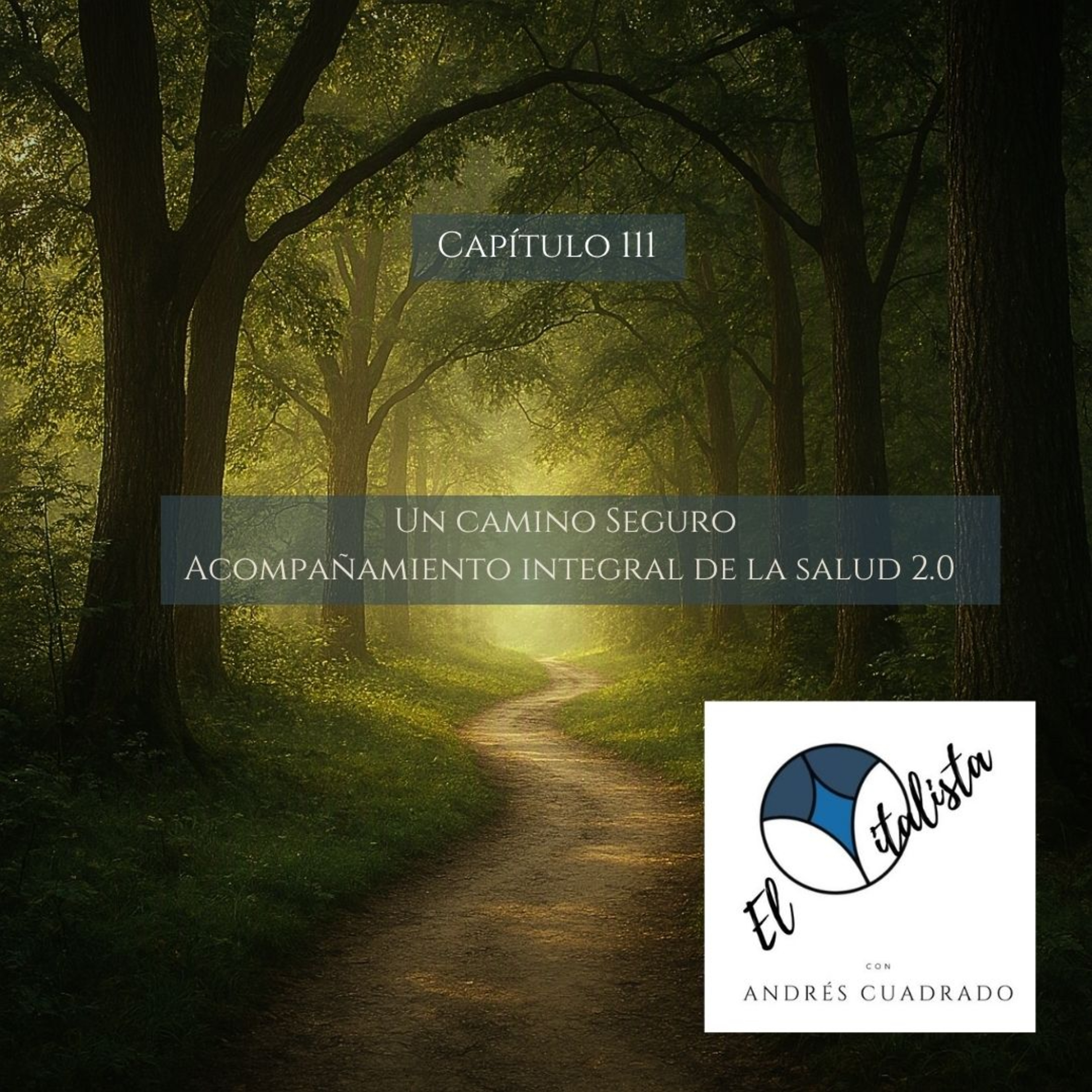 #111 Un camino Seguro: AIS 2.0 episode artwork