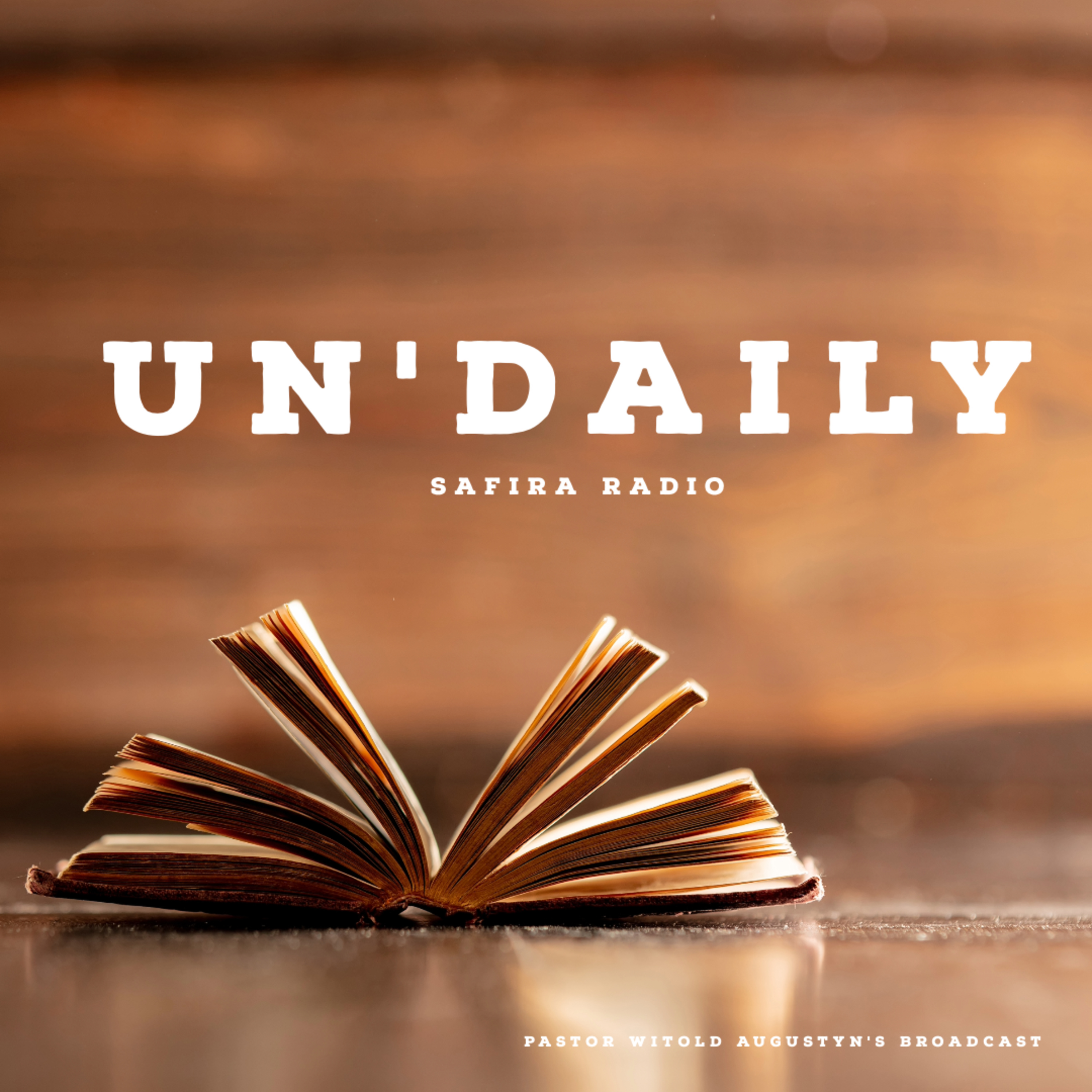 UnDaily - Episode 20 - A PLAN FOR LOVE episode artwork