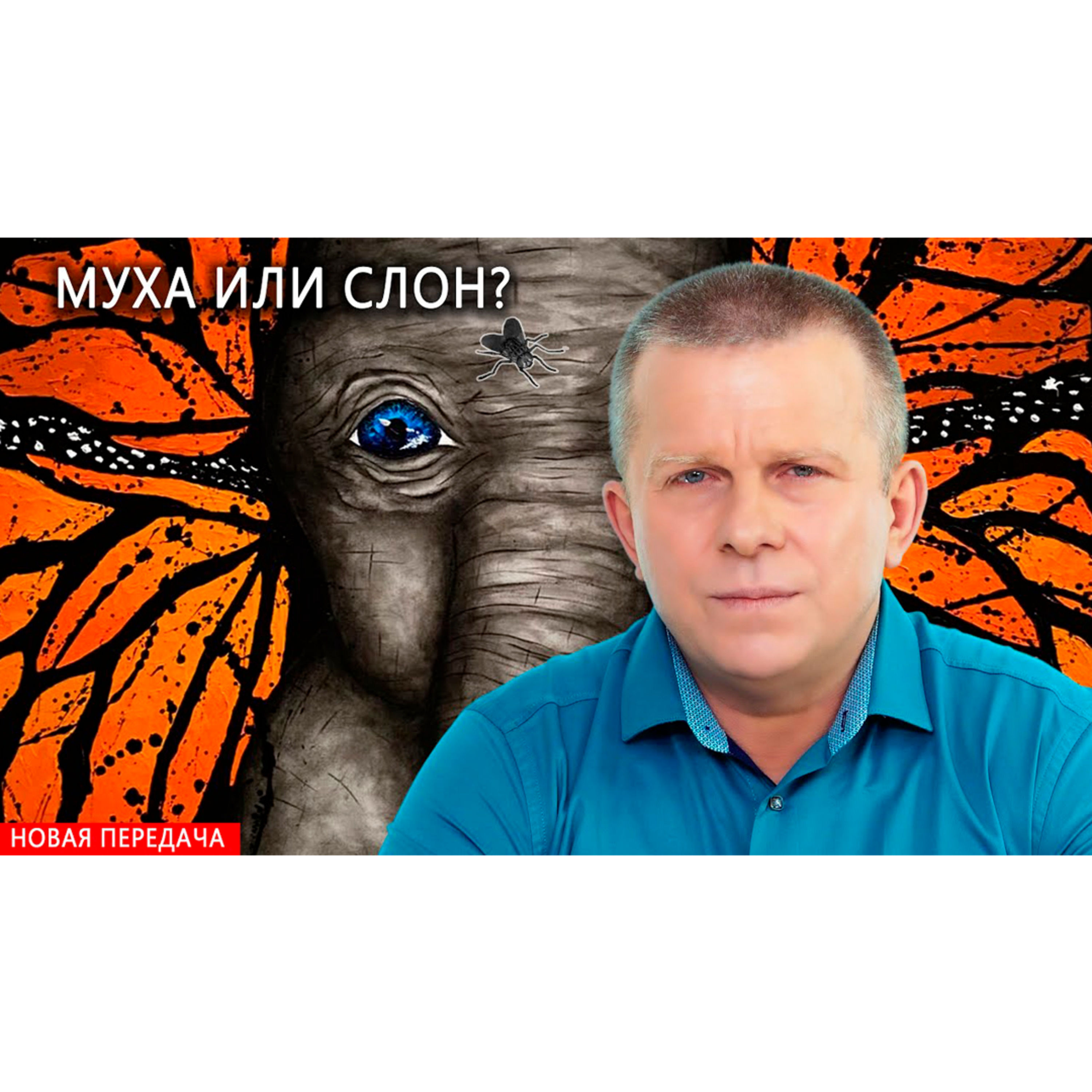 Муха или слон? episode artwork