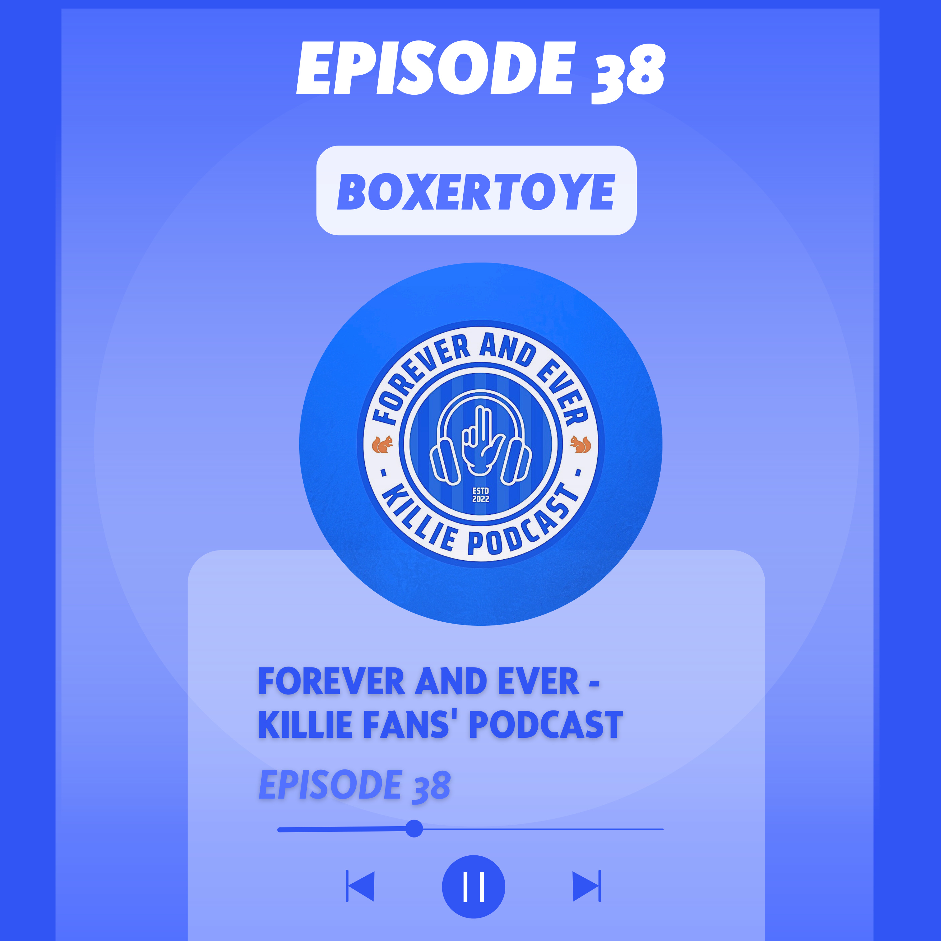 Boxertoye