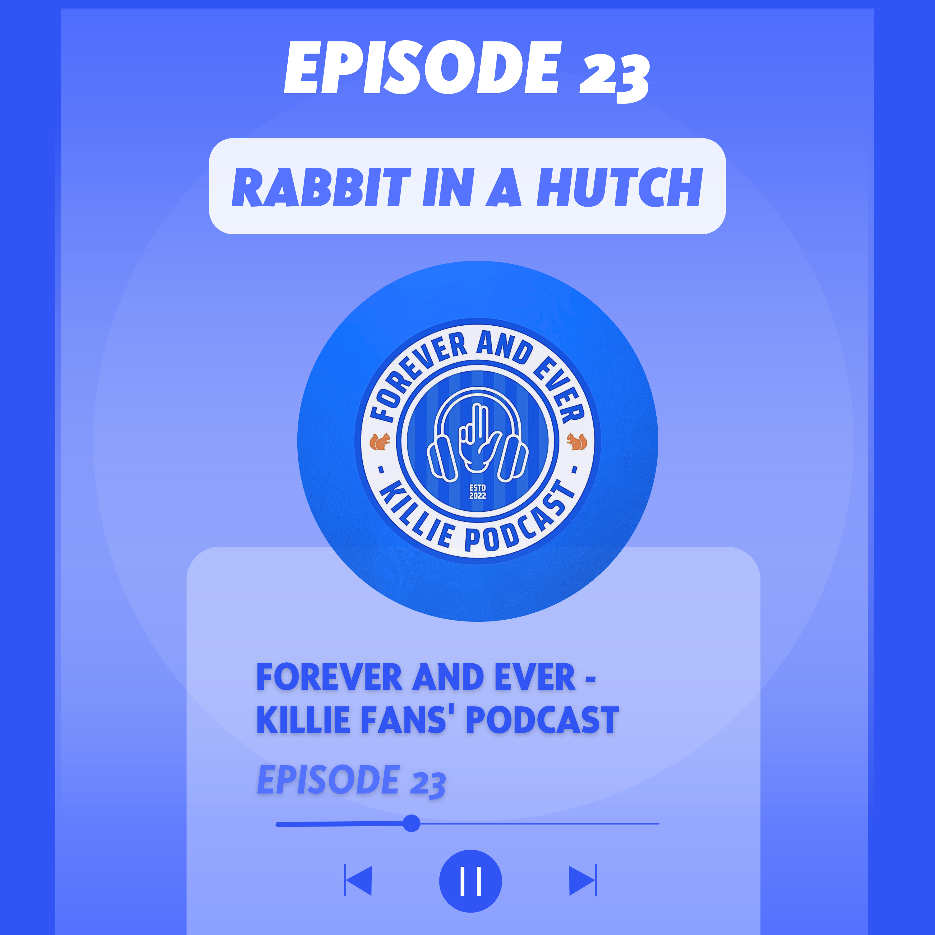 Rabbit in a Hutch