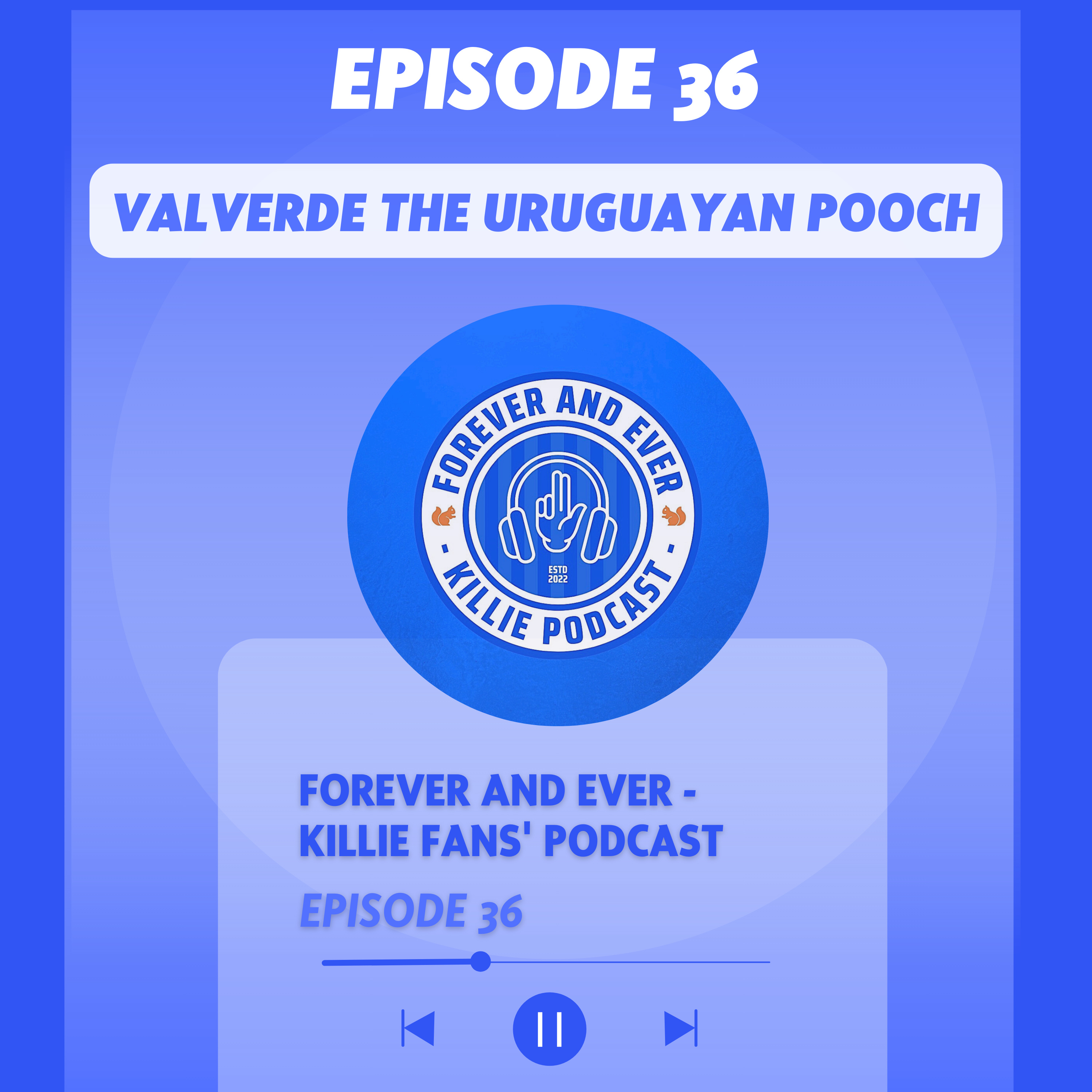 Valverde The Uruguayan Pooch