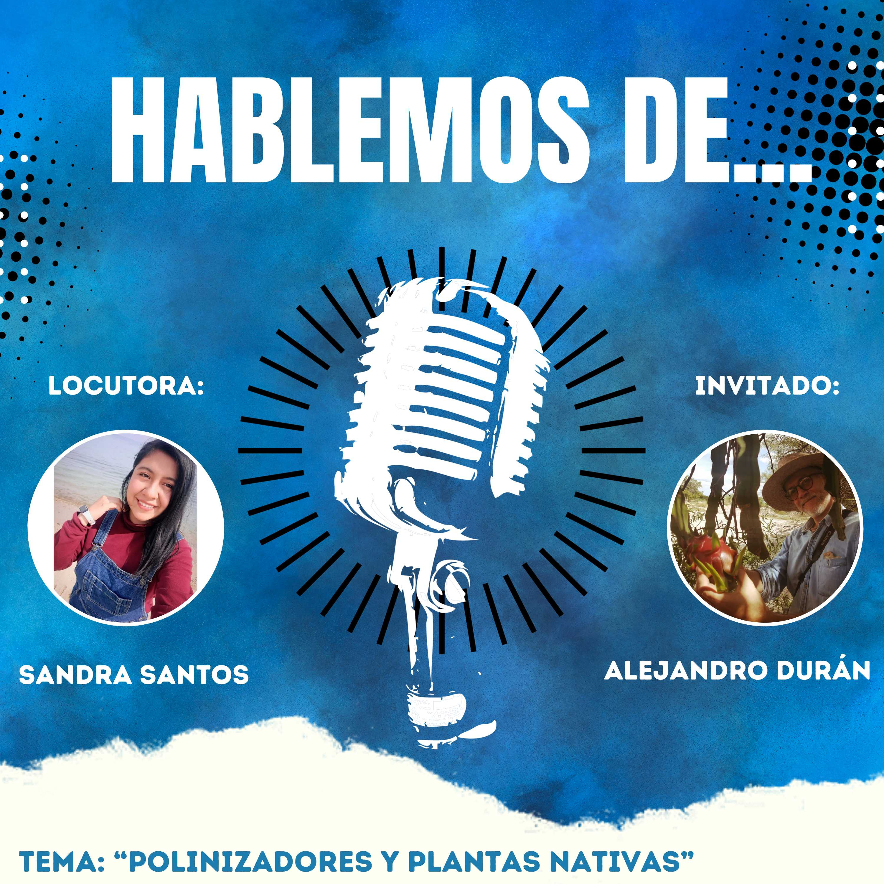 "HABLEMOS DE..." episode artwork
