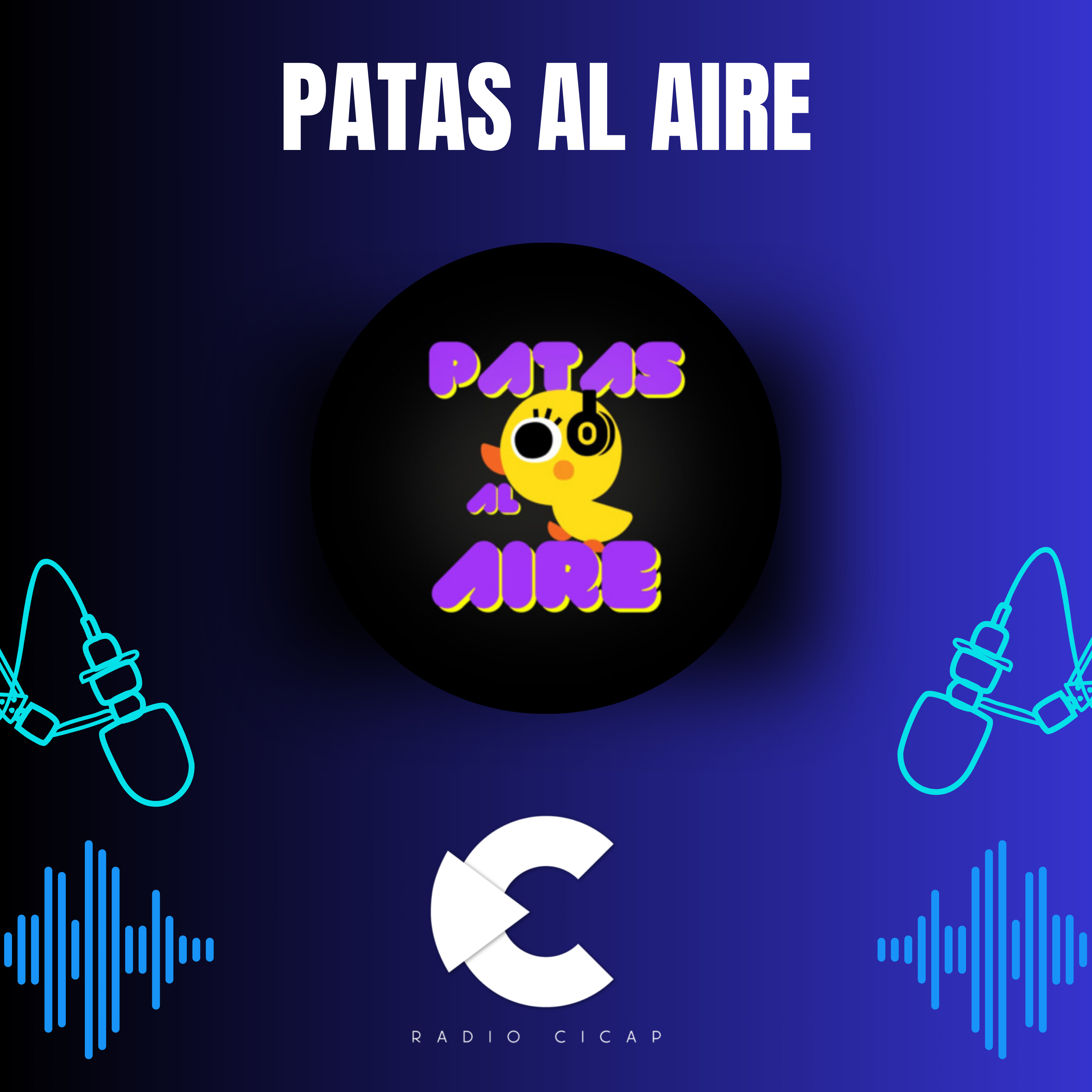 PATAS AL AIRE 🐤 episode artwork