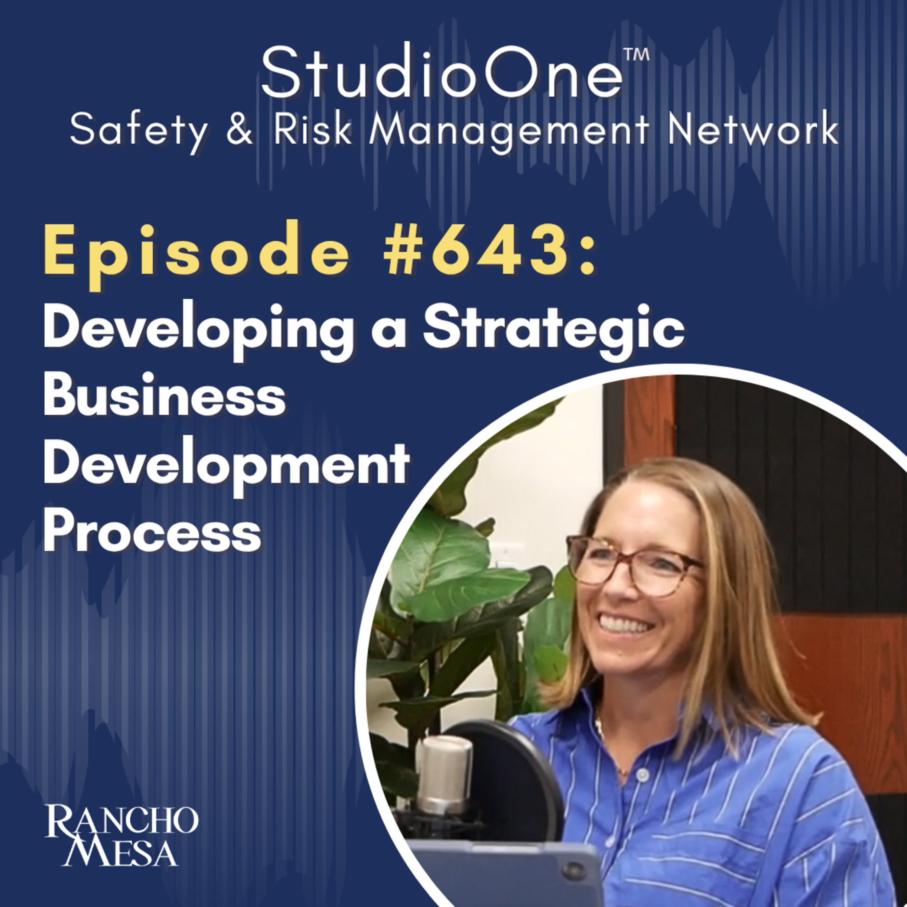 Ep. 643 Developing a Strategic Business Development Process episode artwork