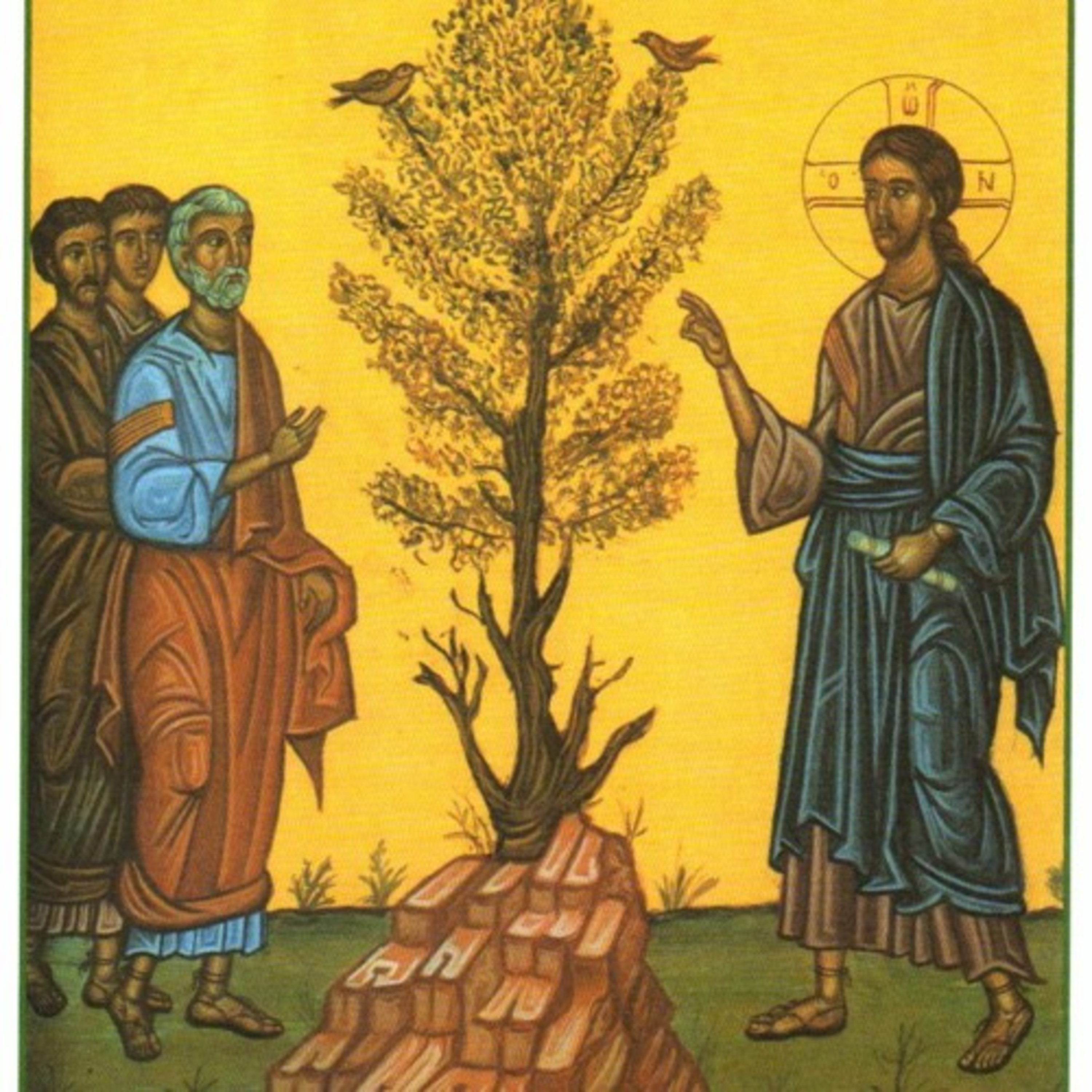 Páginas difíceis do Evangelho - a figueira estéril episode artwork