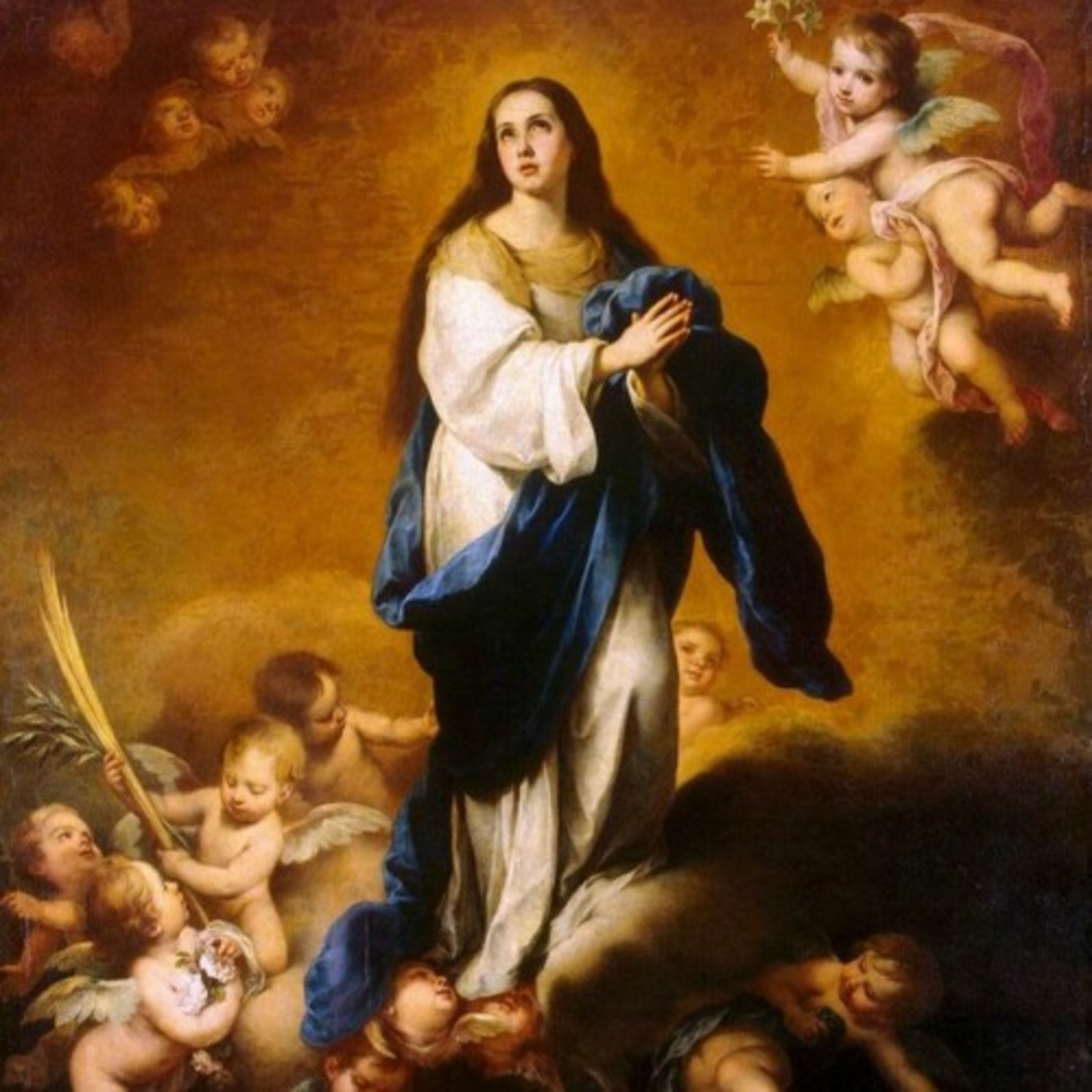 Imaculada Conceição de Maria episode artwork
