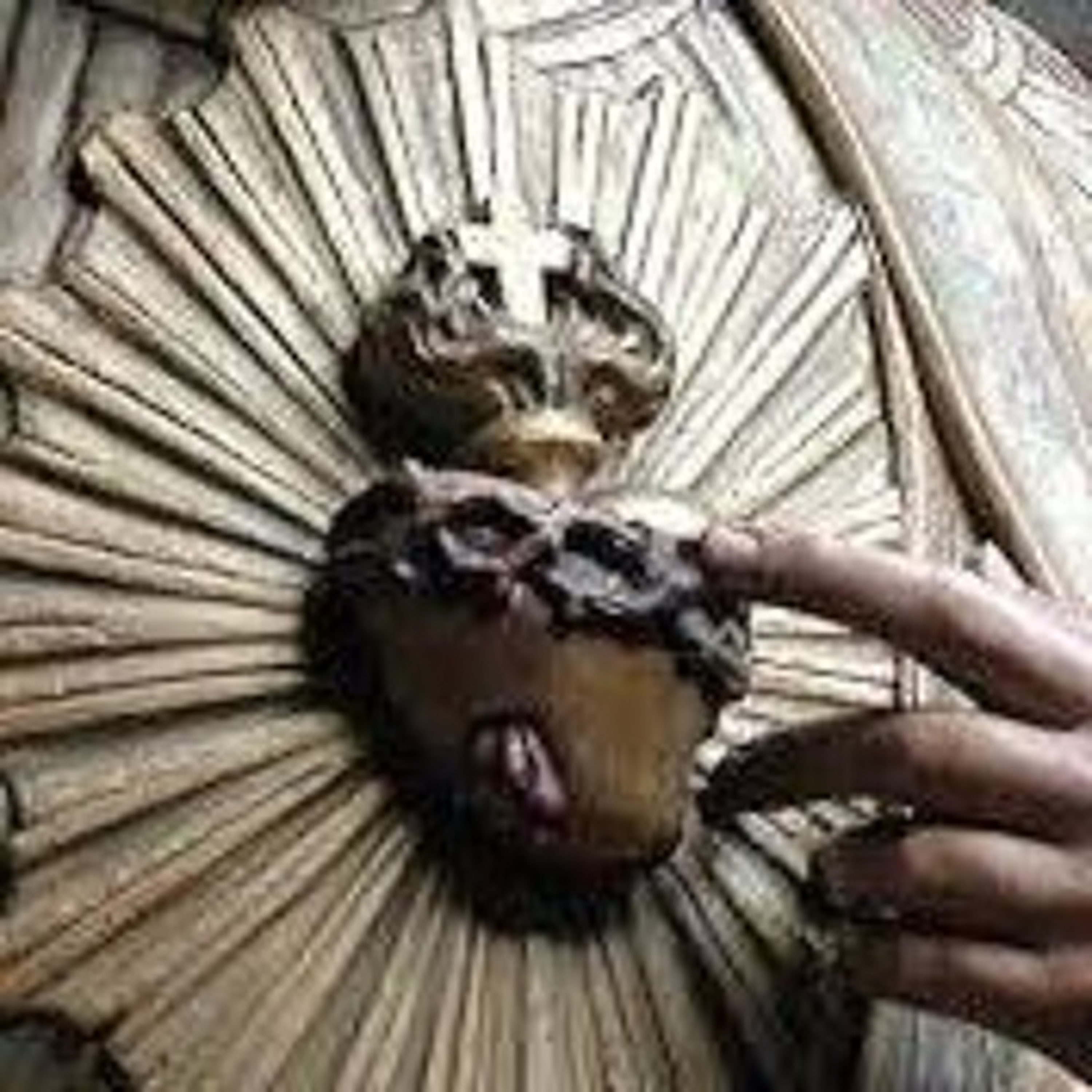 Jesus nos amou com um coração de carne episode artwork