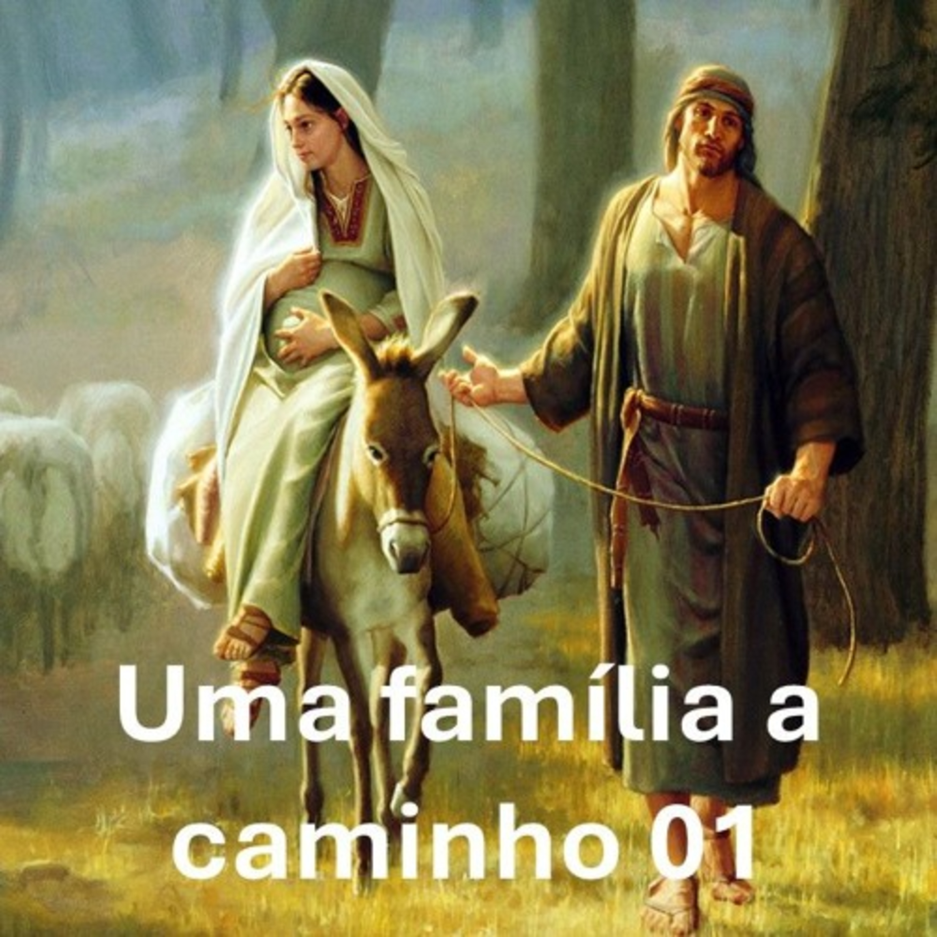 Uma família a caminho 01 episode artwork