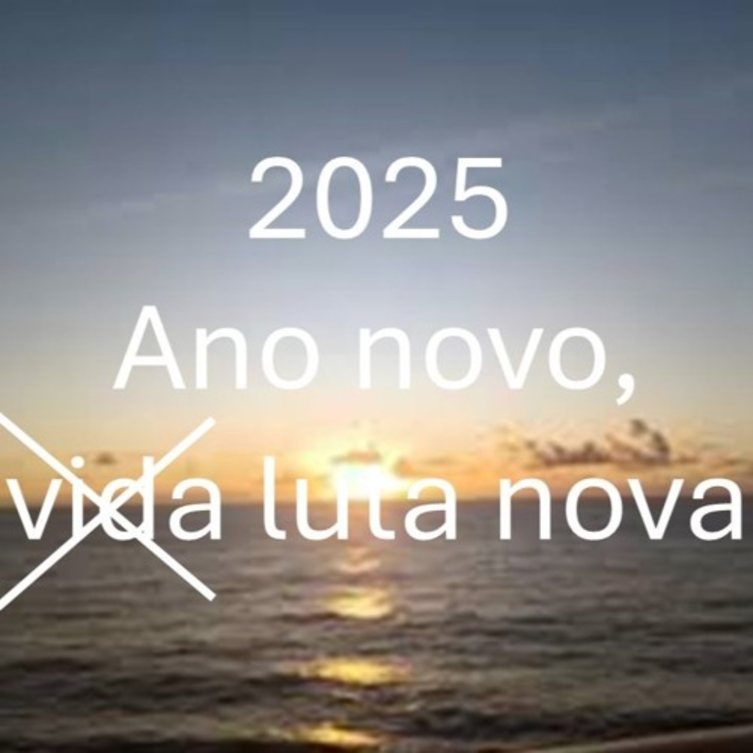 Ano novo, luta nova! episode artwork