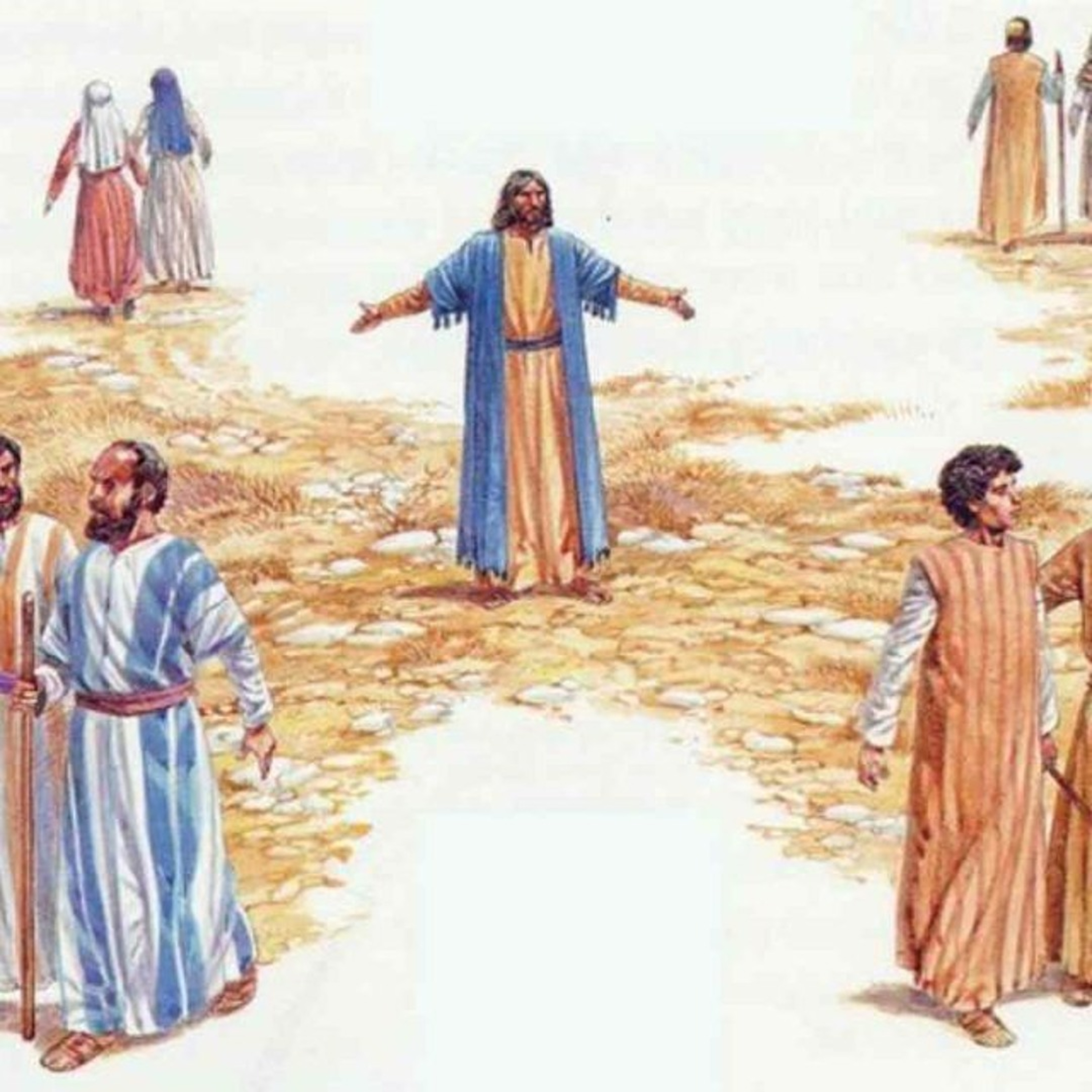 Apostolado, graça, oportunidade e tarefa - 14º Domingo TC (C) episode artwork