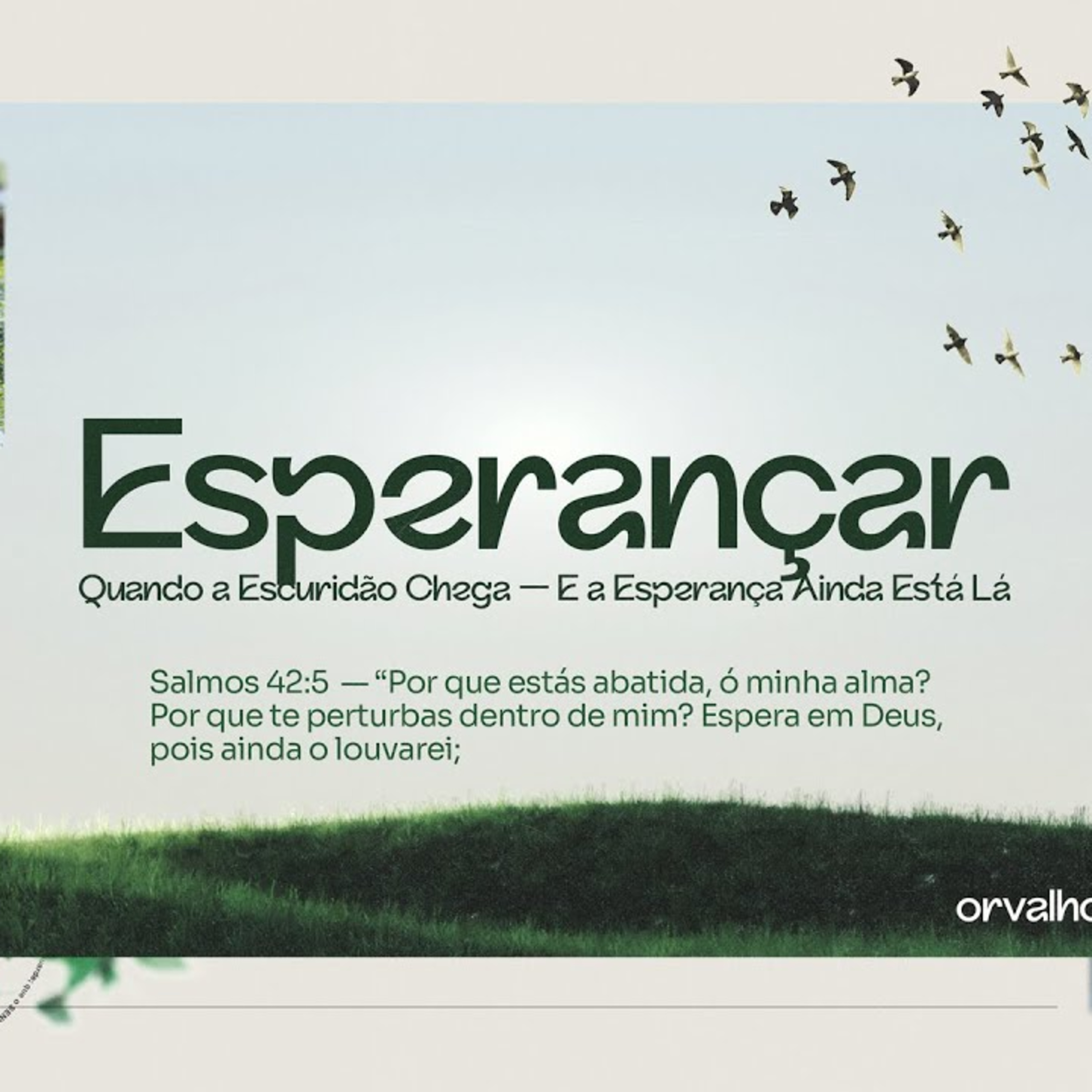 #05- Esperançar: Quando a escuridão chega - e a esperança ainda está lá. episode artwork