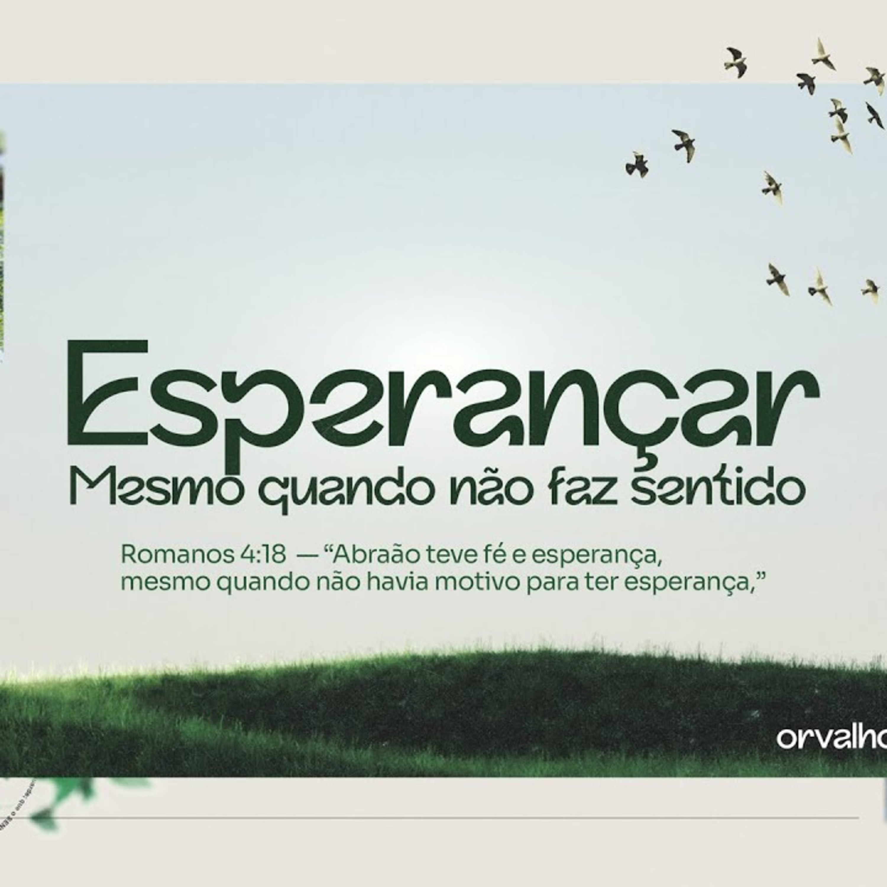 #06- Esperançar: Mesmo quando não faz sentido episode artwork