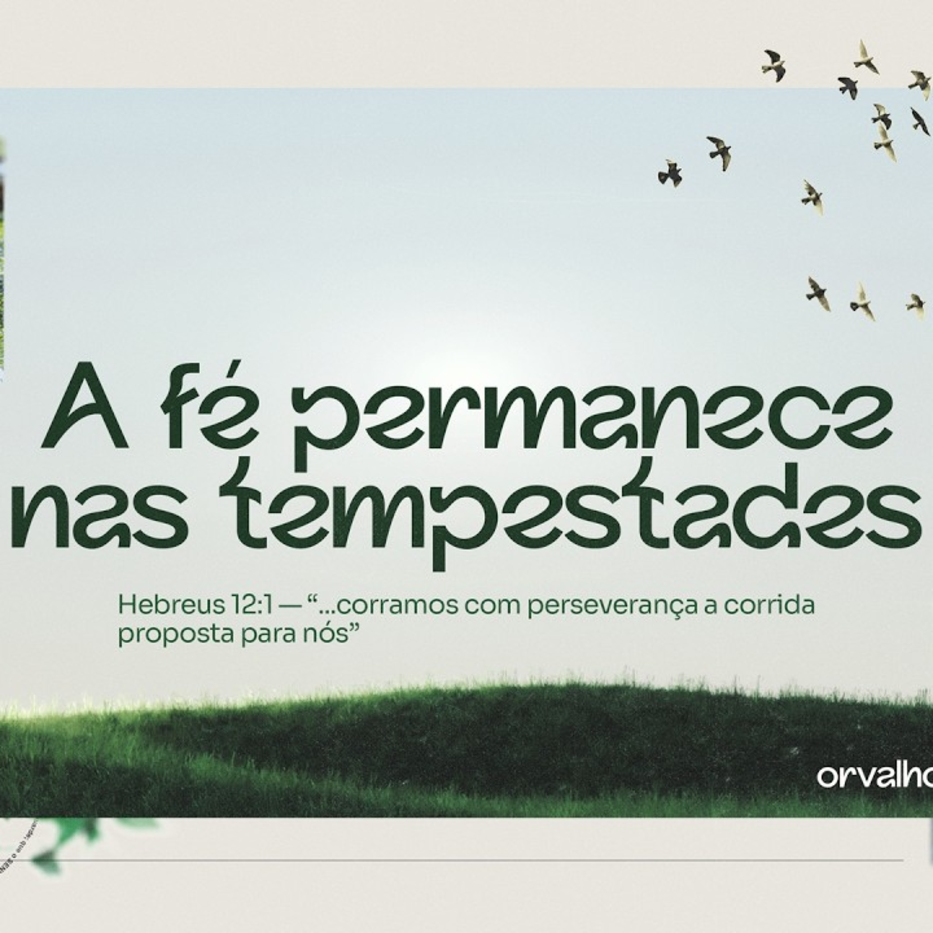 #11 - A fé que permanece nas tempestades episode artwork