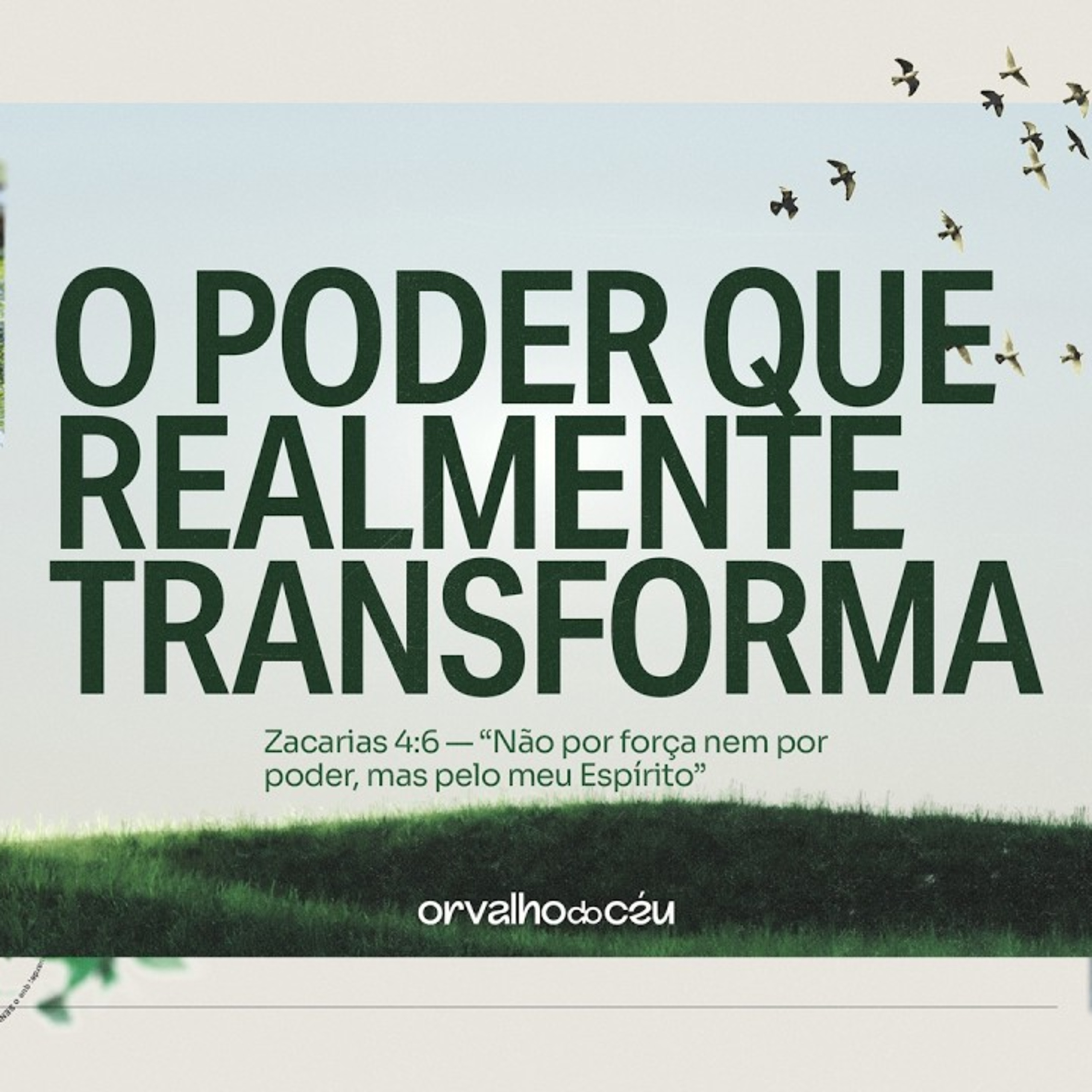 #14 - O poder que realmente transforma