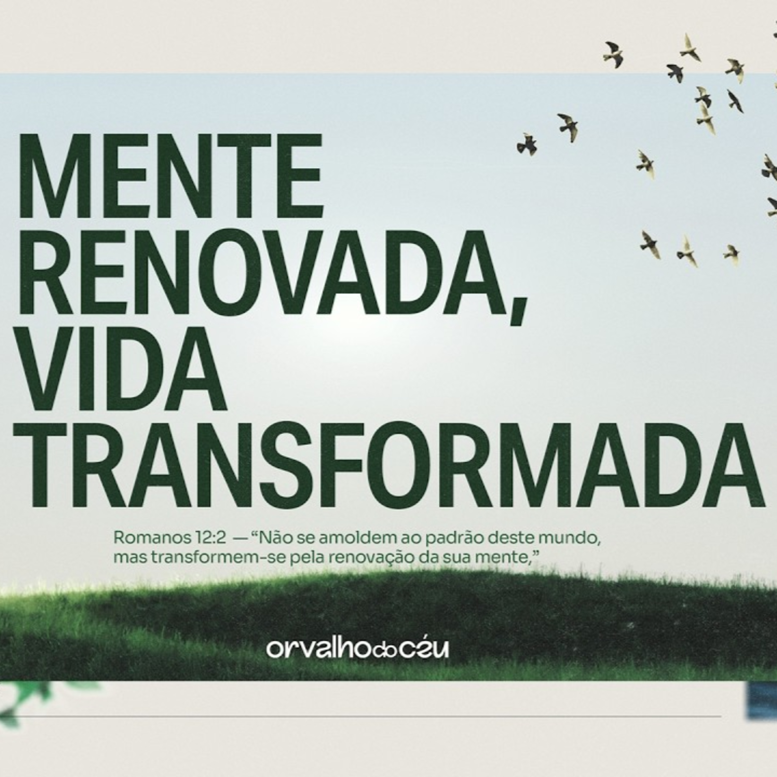 #15- Mente renovada, vida transformada
