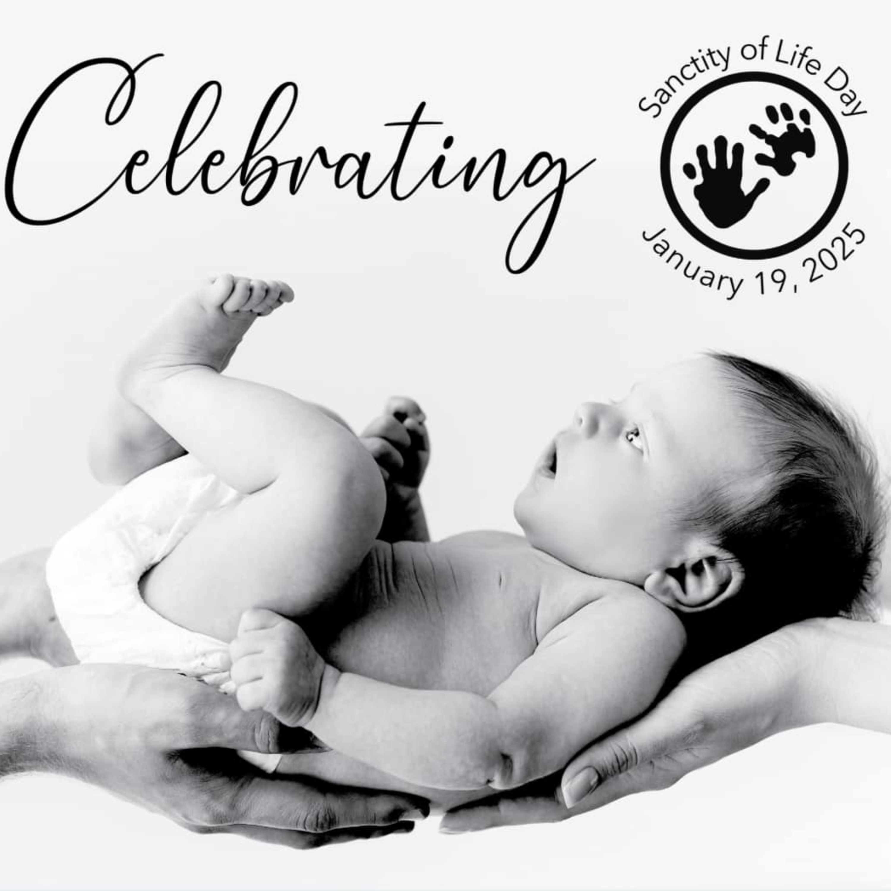 Chestnut Dale Baptist Church - January 19, 2025 (Sanctity of Human Life Day) episode artwork