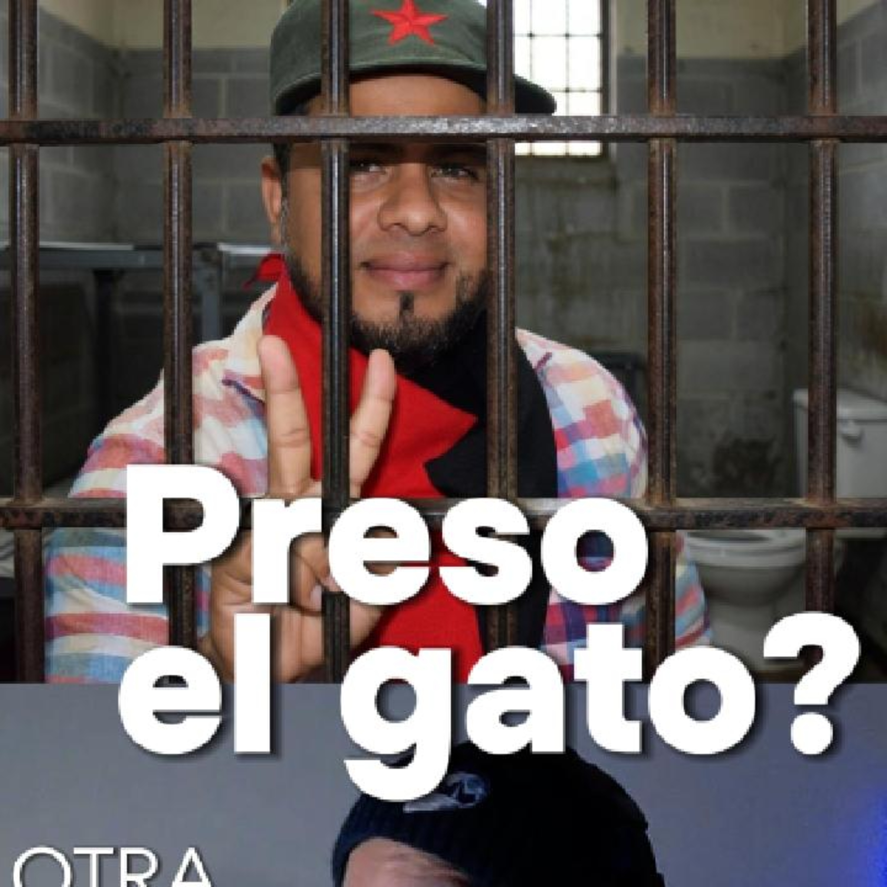 El caso del gato Sandinista que sigue desaparecido. Lección para los sandinistas en #Nicaragua episode artwork