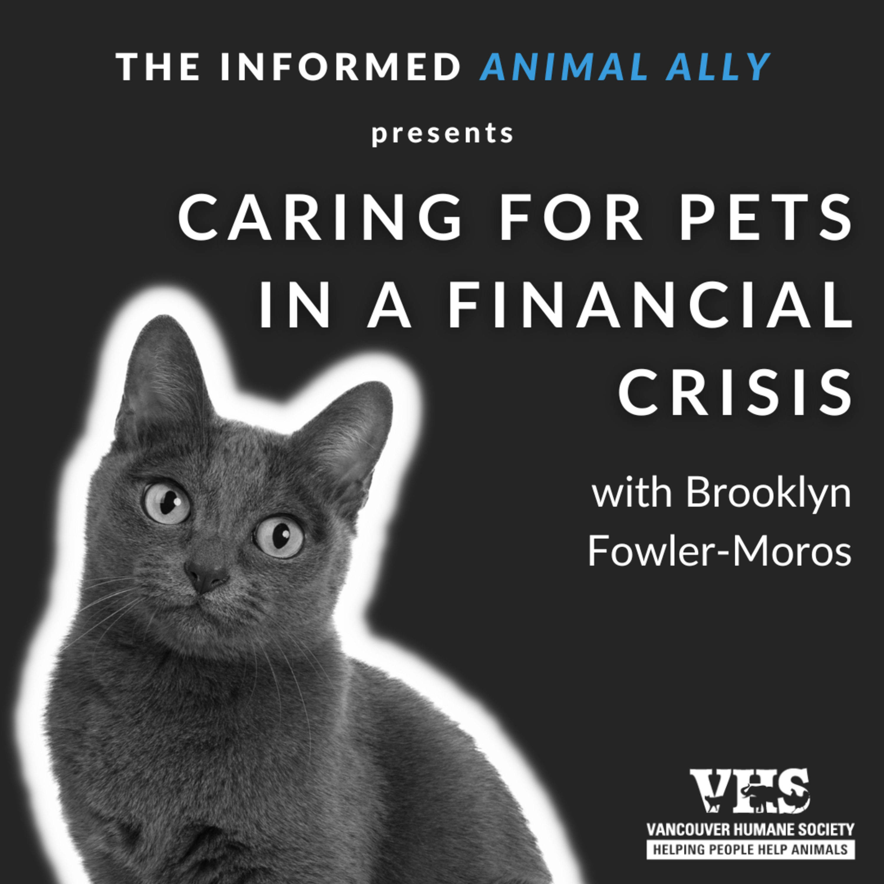 Caring for pets in a financial crisis episode artwork