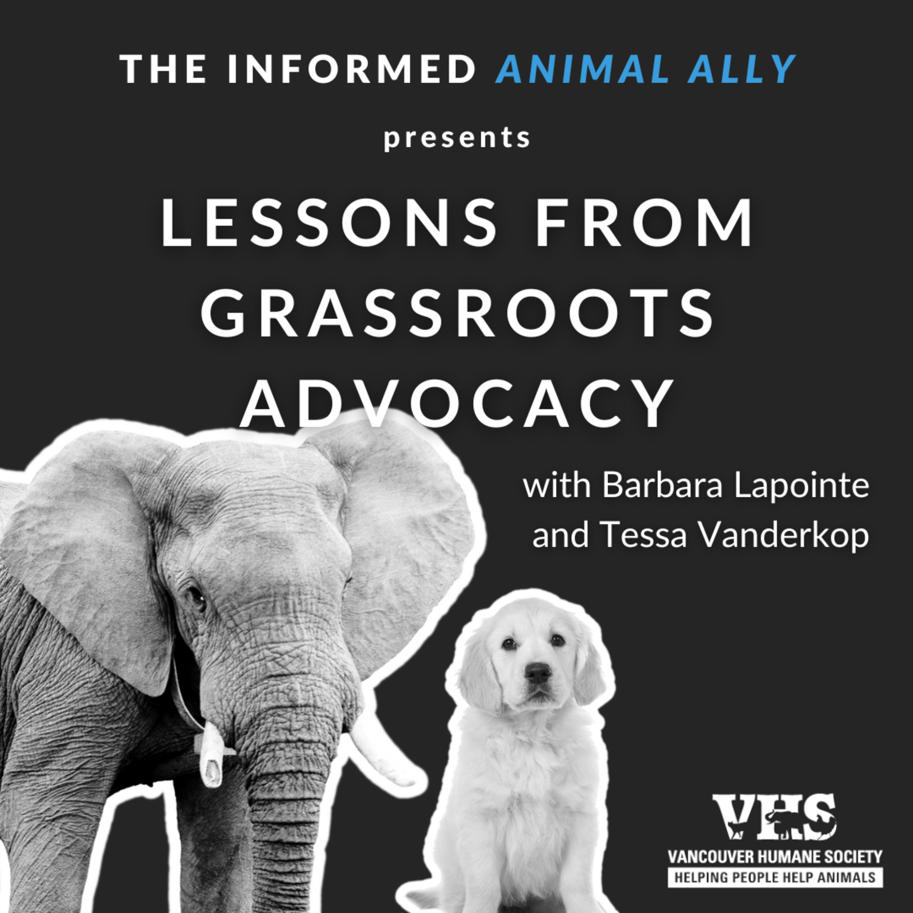 Lessons from grassroots animal advocacy episode artwork