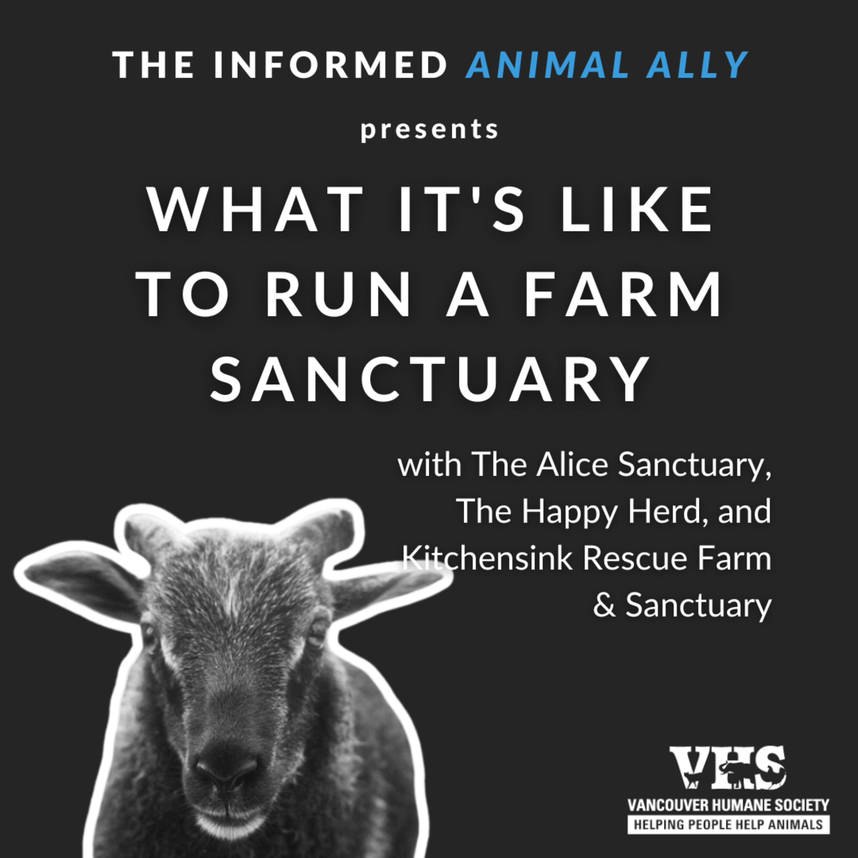 What it's like to run a farm sanctuary episode artwork