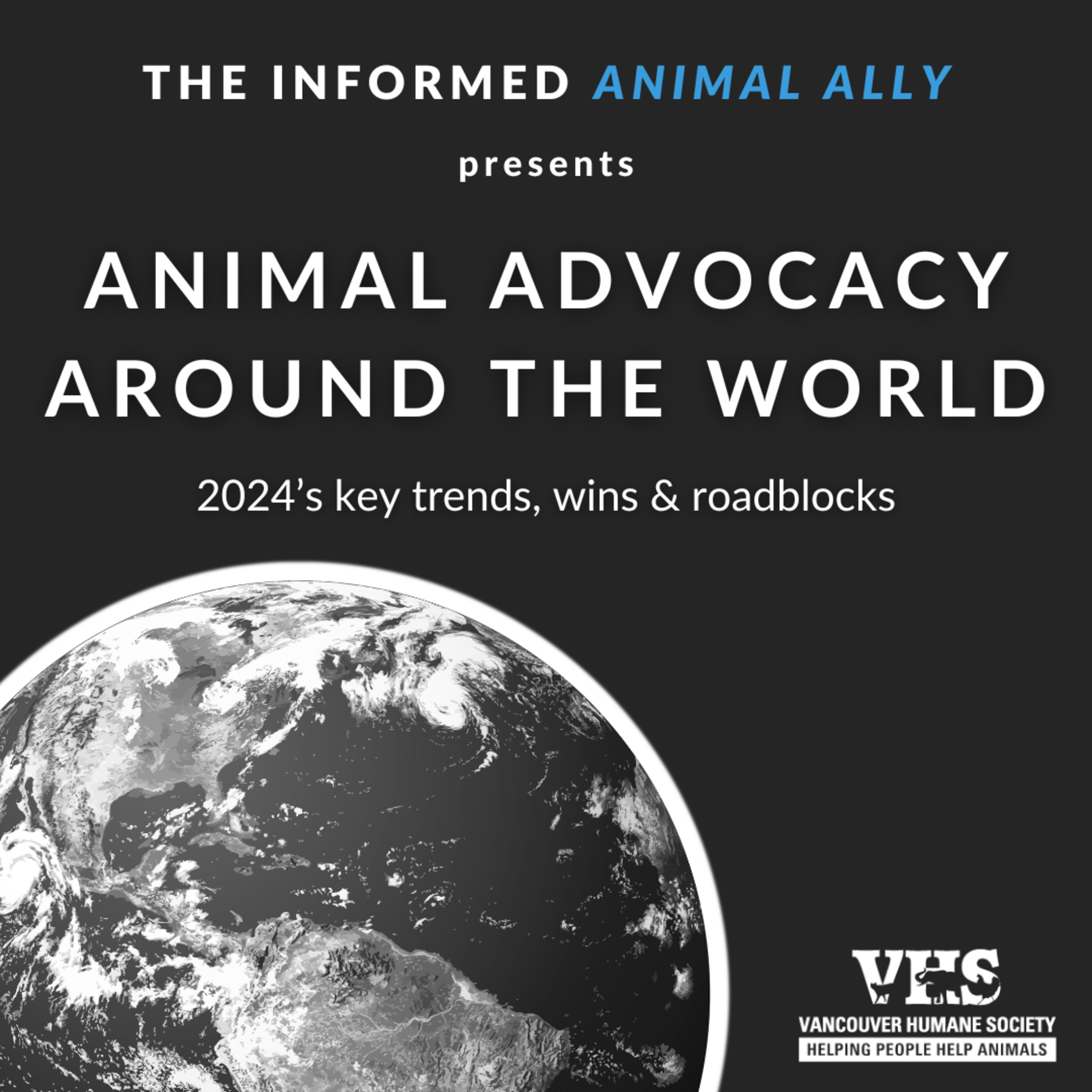 Animal advocacy around the world: 2024's key trends, wins & roadblocks episode artwork