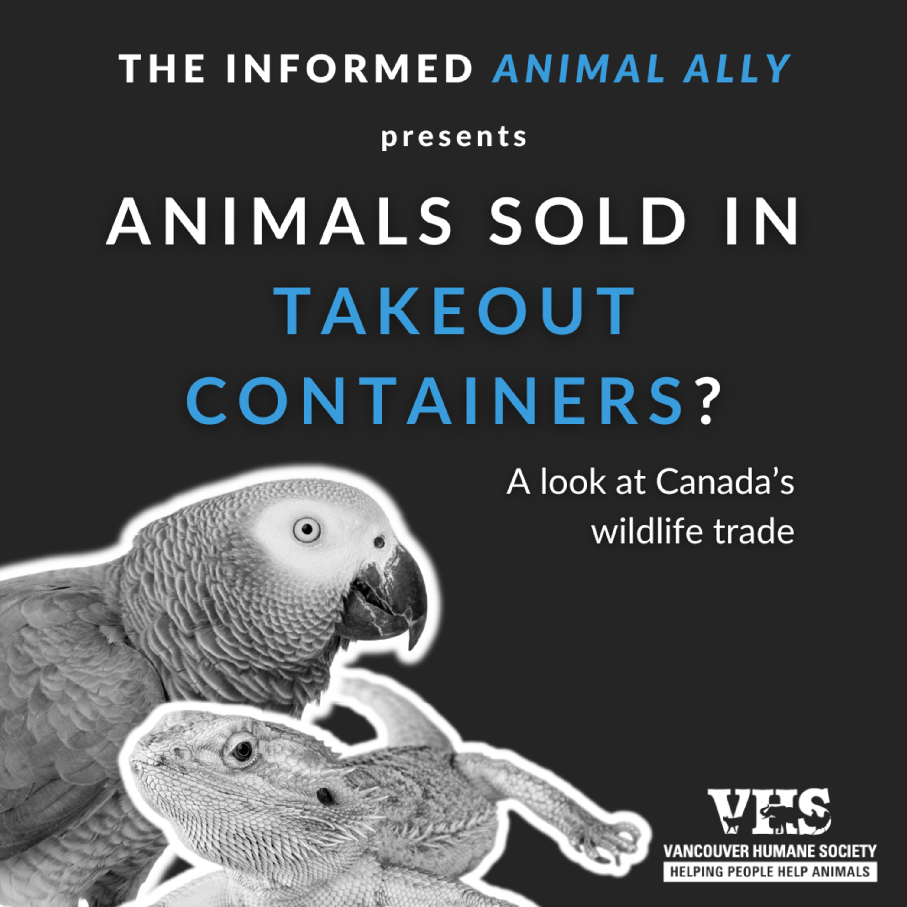 Animals sold in takeout containers? A look at Canada's wildlife trade episode artwork